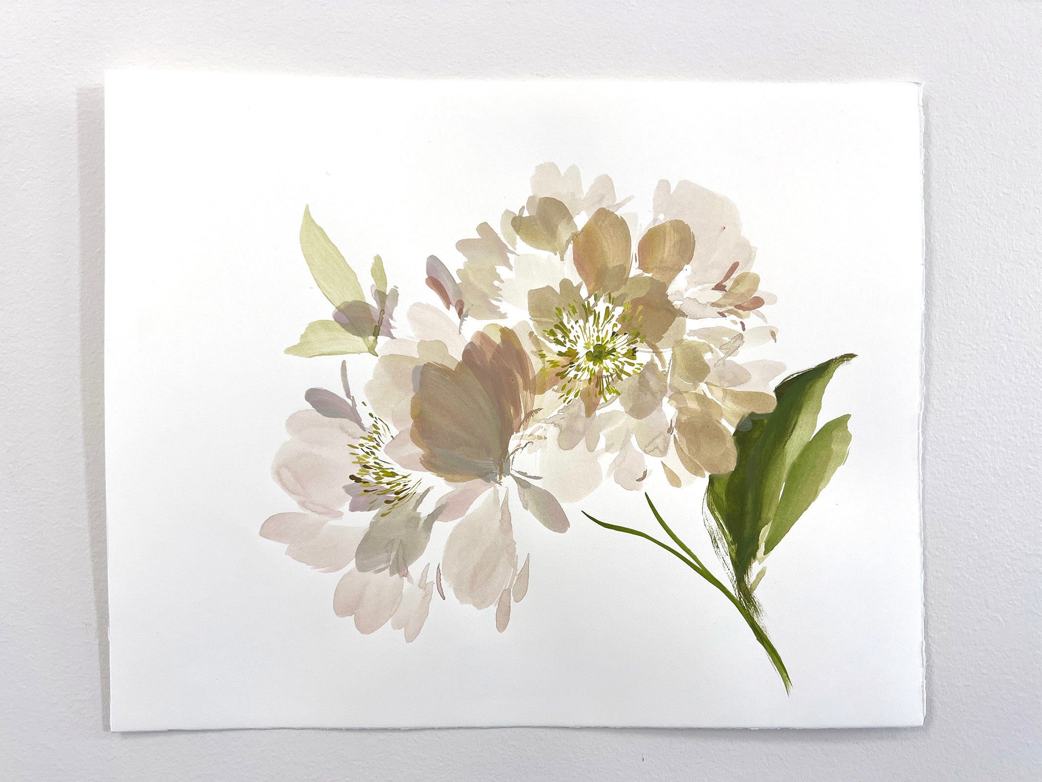 Apricot Whisper Peony