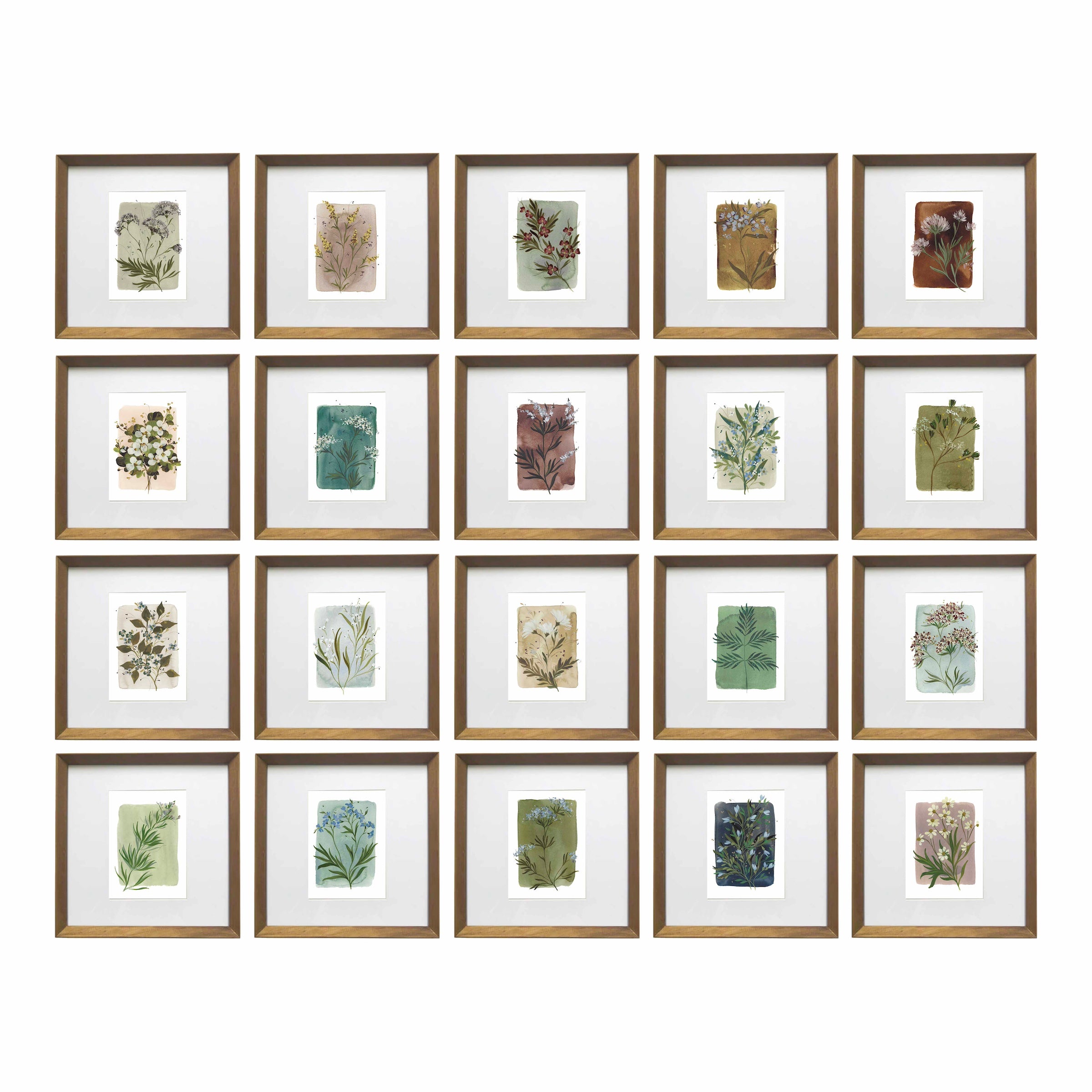 Tiny Botanicals No. 70