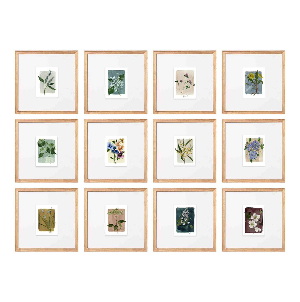 Tiny Botanicals No. 72