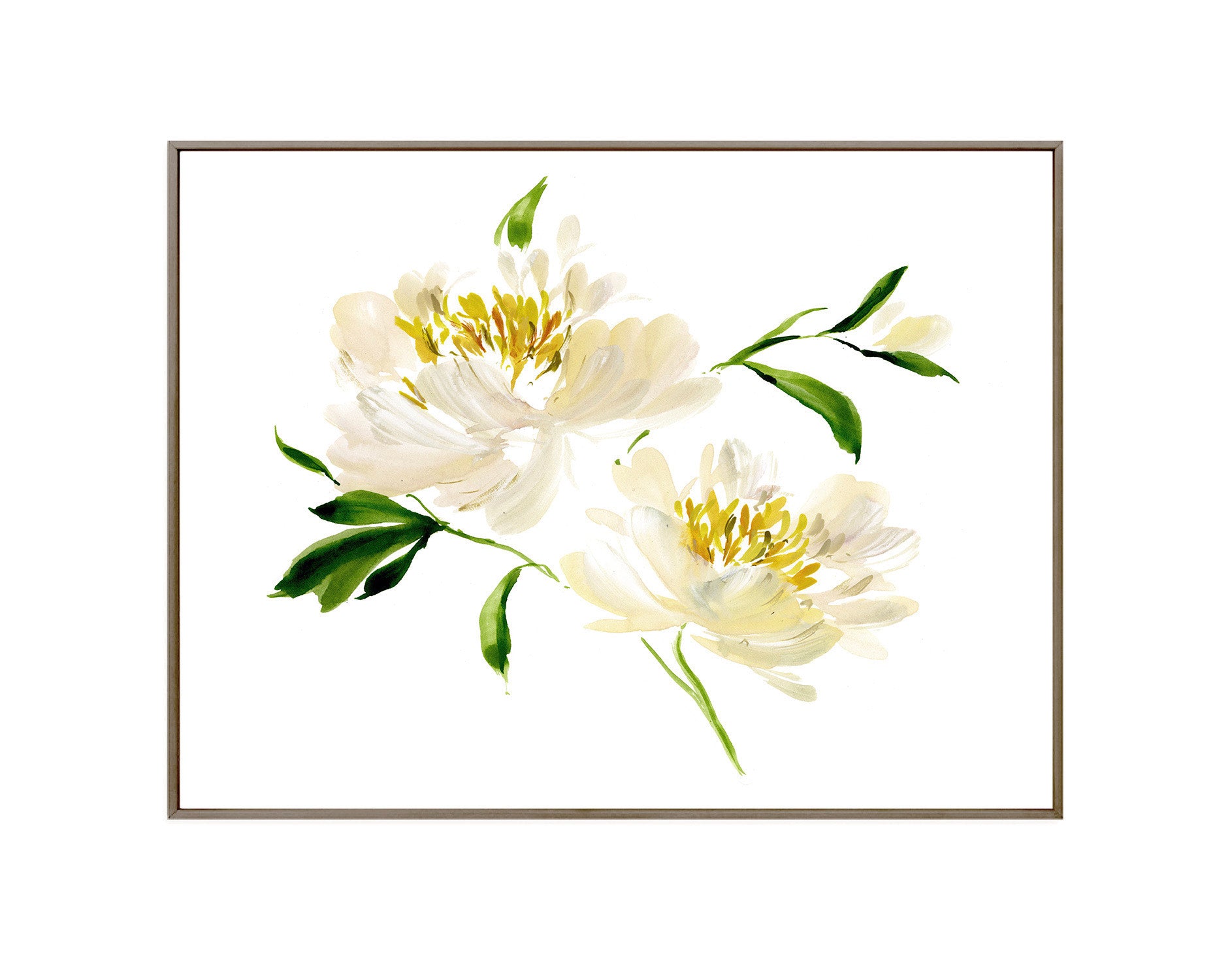 Krinkled White Peony