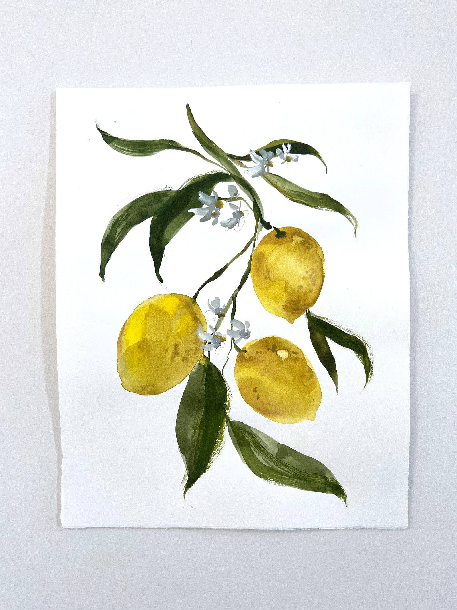 Lemon Study No. 3