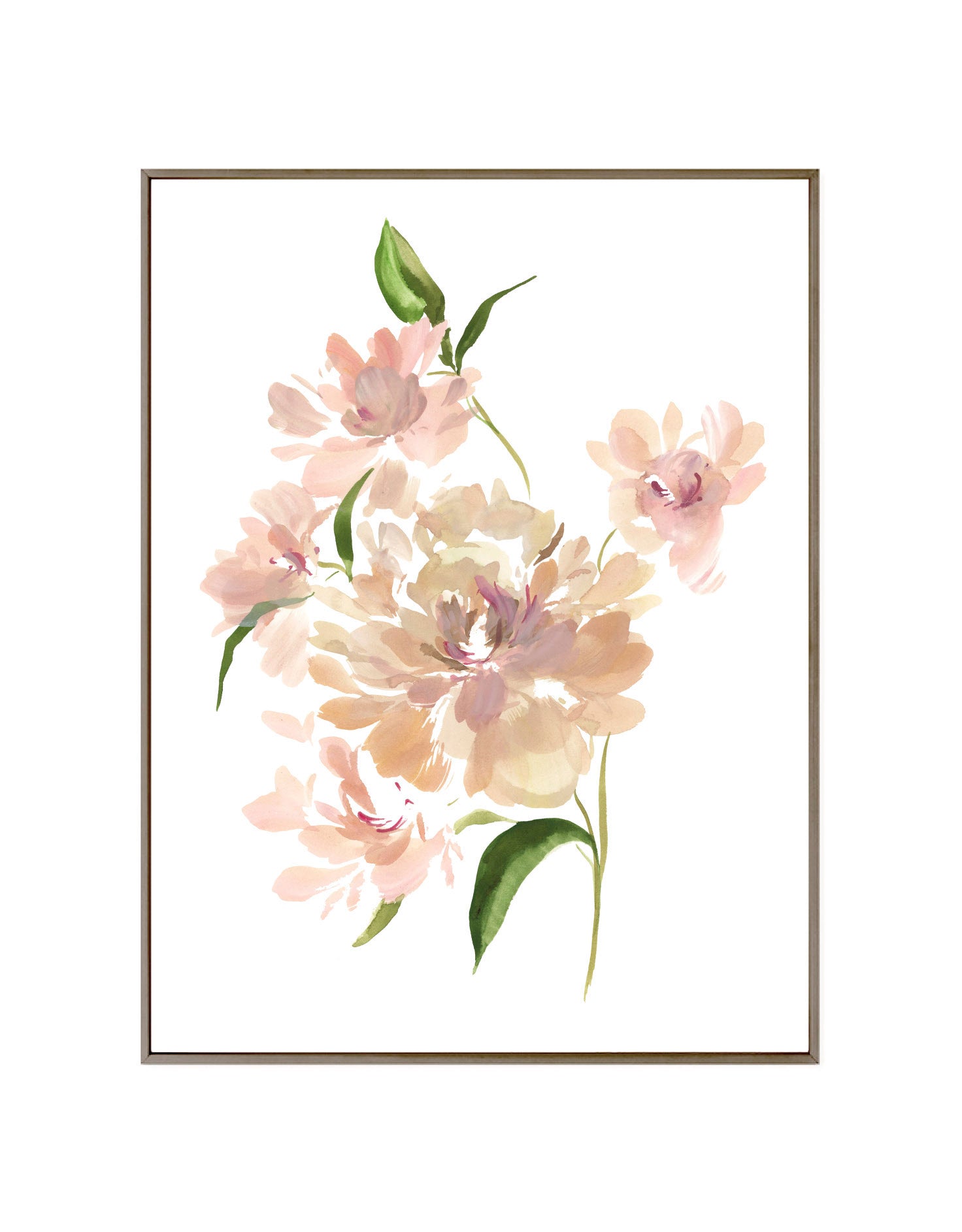 Sarah Bernhardt Peony