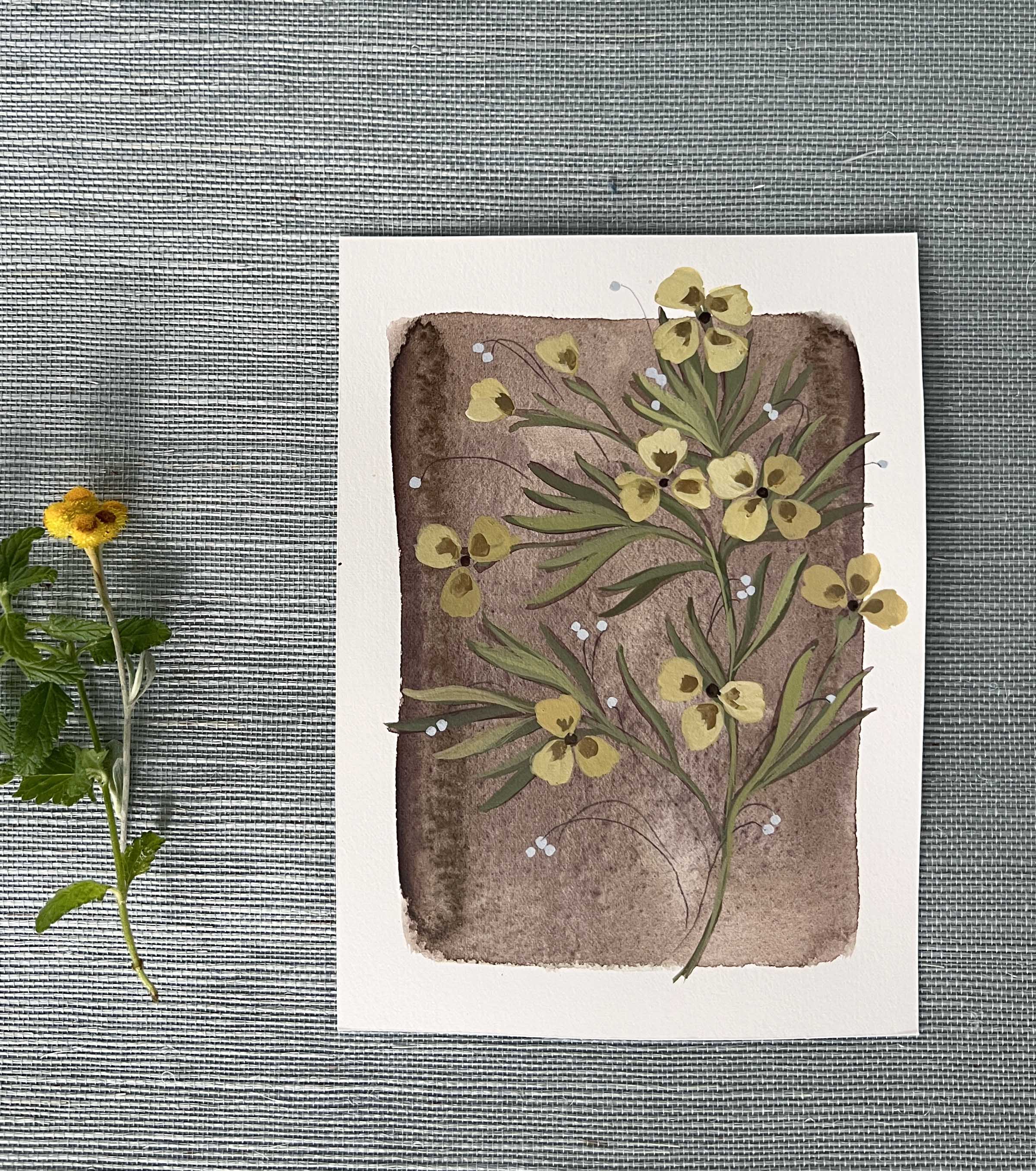 Tiny Botanicals No.113