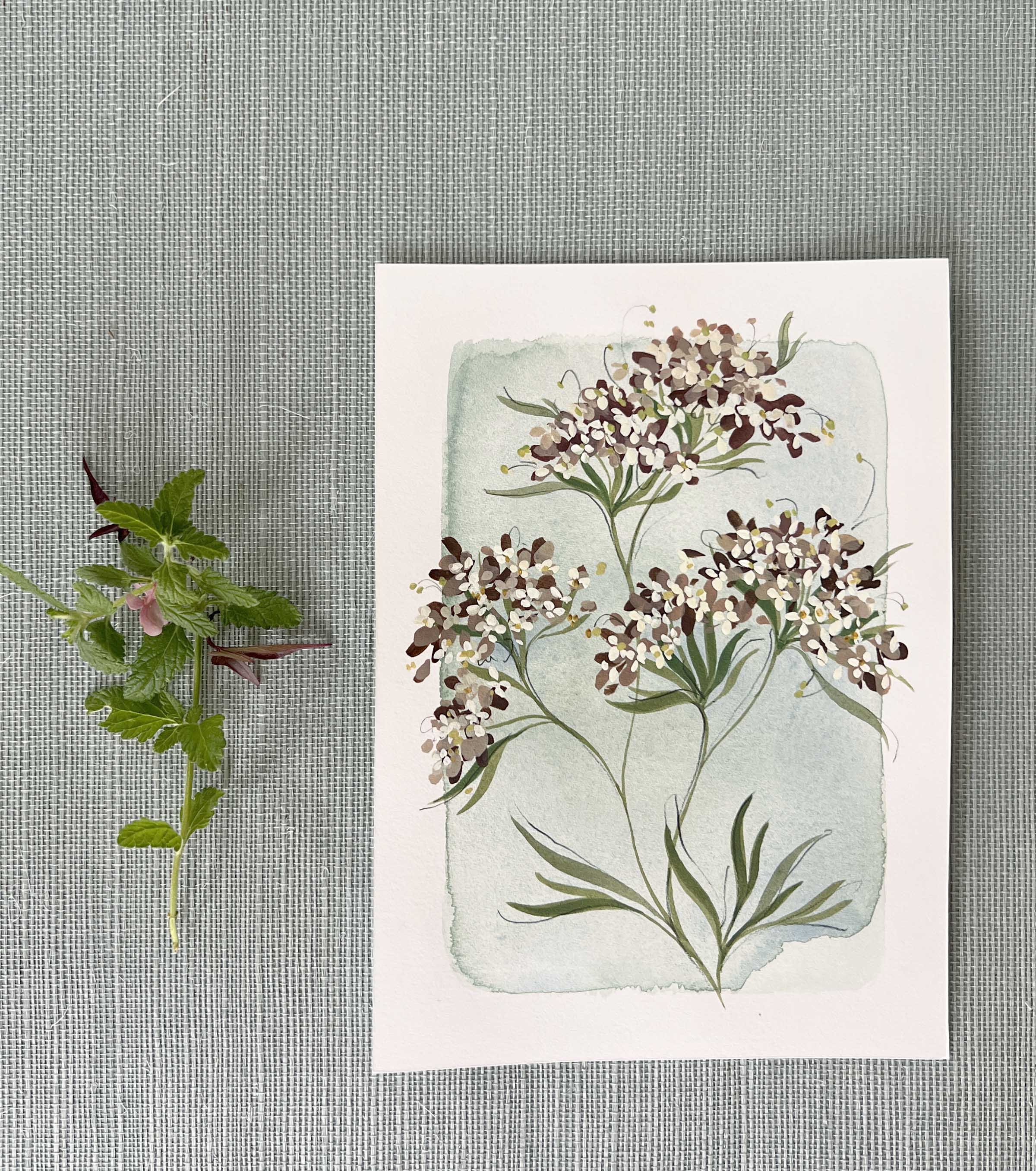 Tiny Botanicals No.65