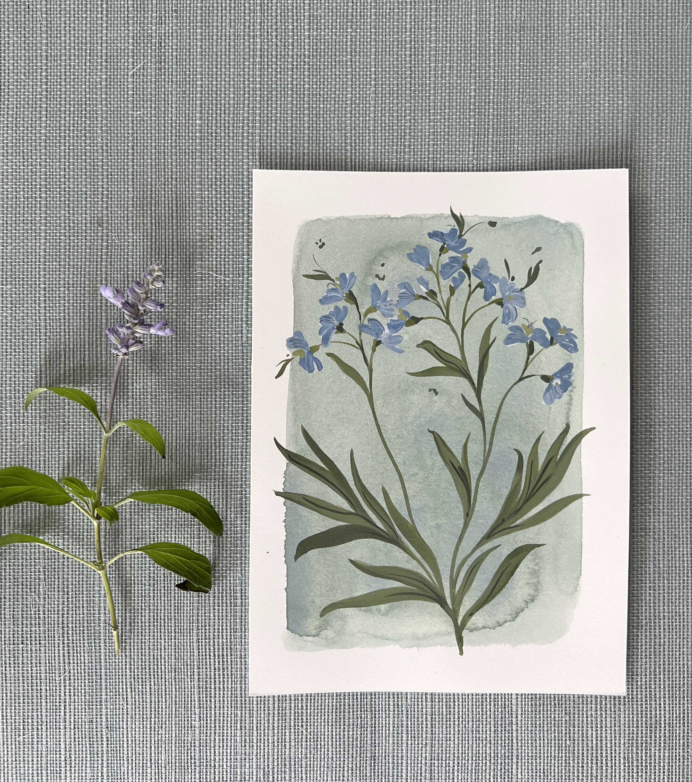 Tiny Botanicals No.67