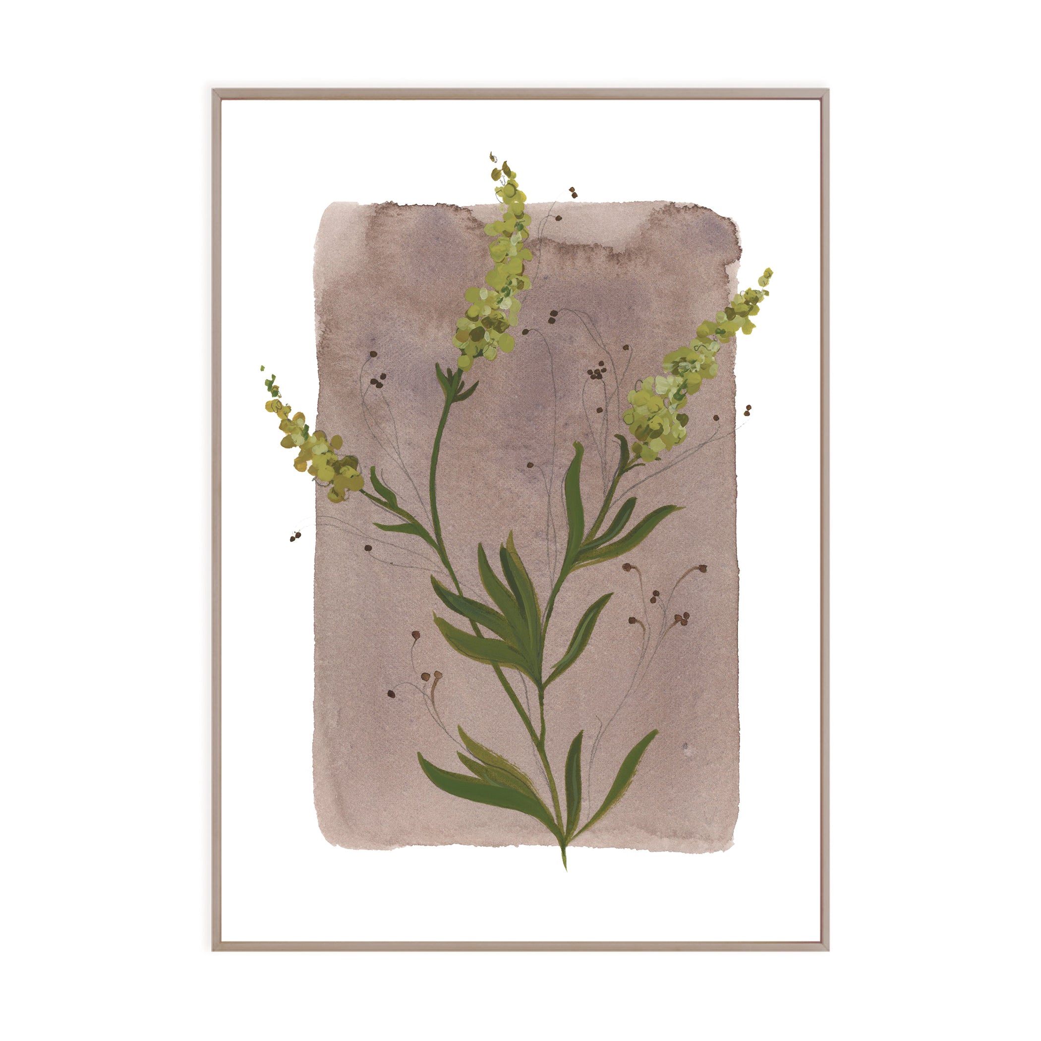 Tiny Botanicals No. 79