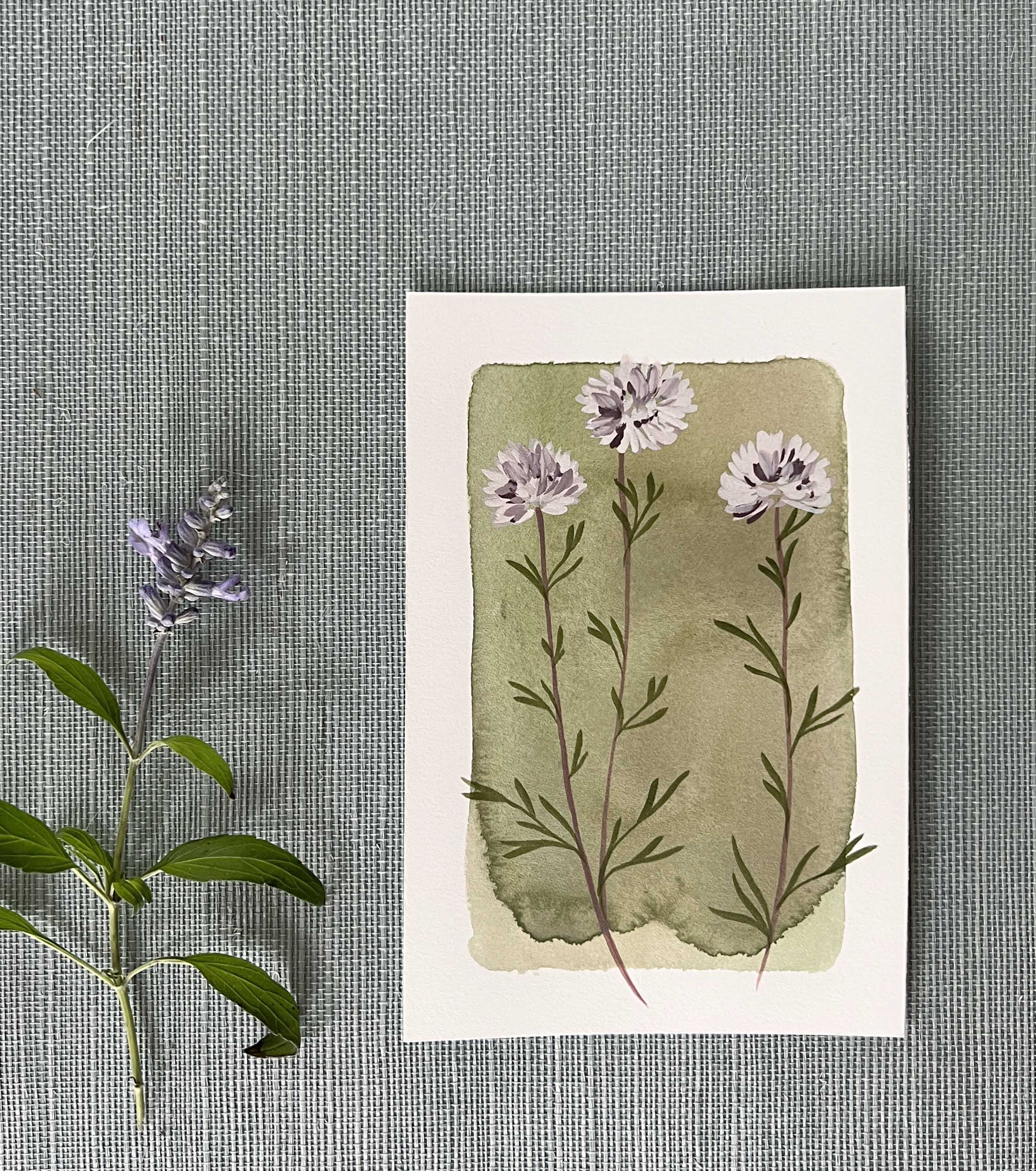 Tiny Botanicals No.84