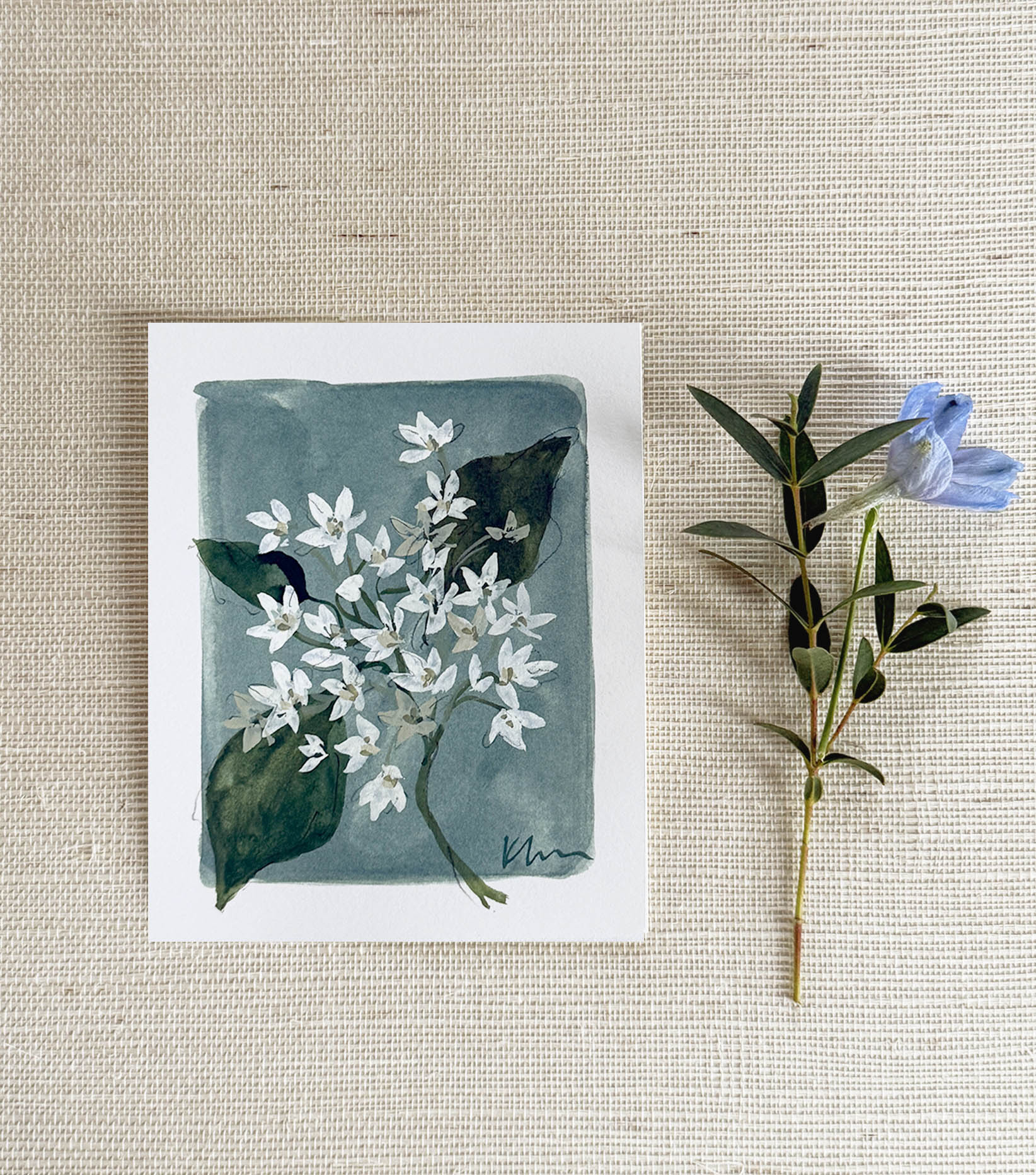 Tiny Botanicals No.95