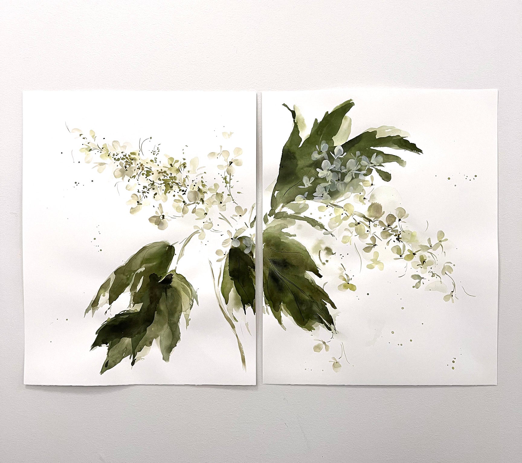 Oakleaf Hydrangea No 2 (set of 2)