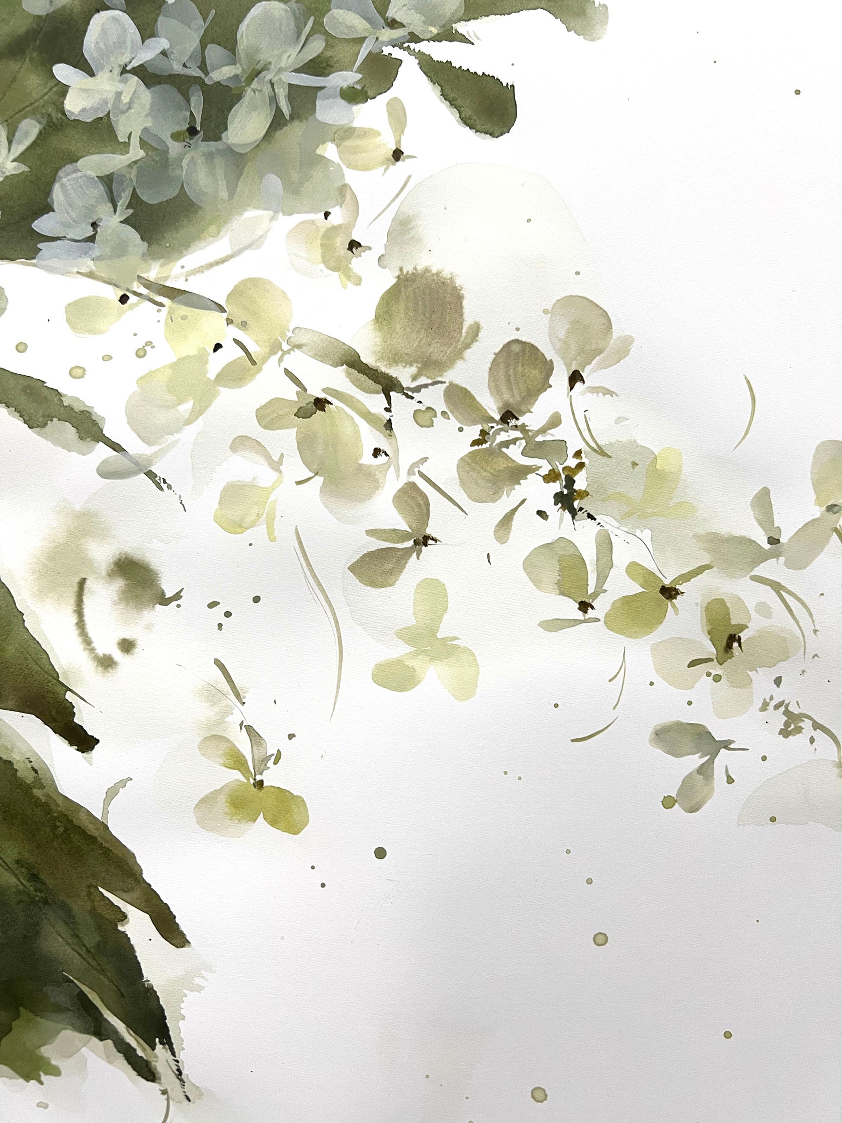 Oakleaf Hydrangea No 2 (set of 2)