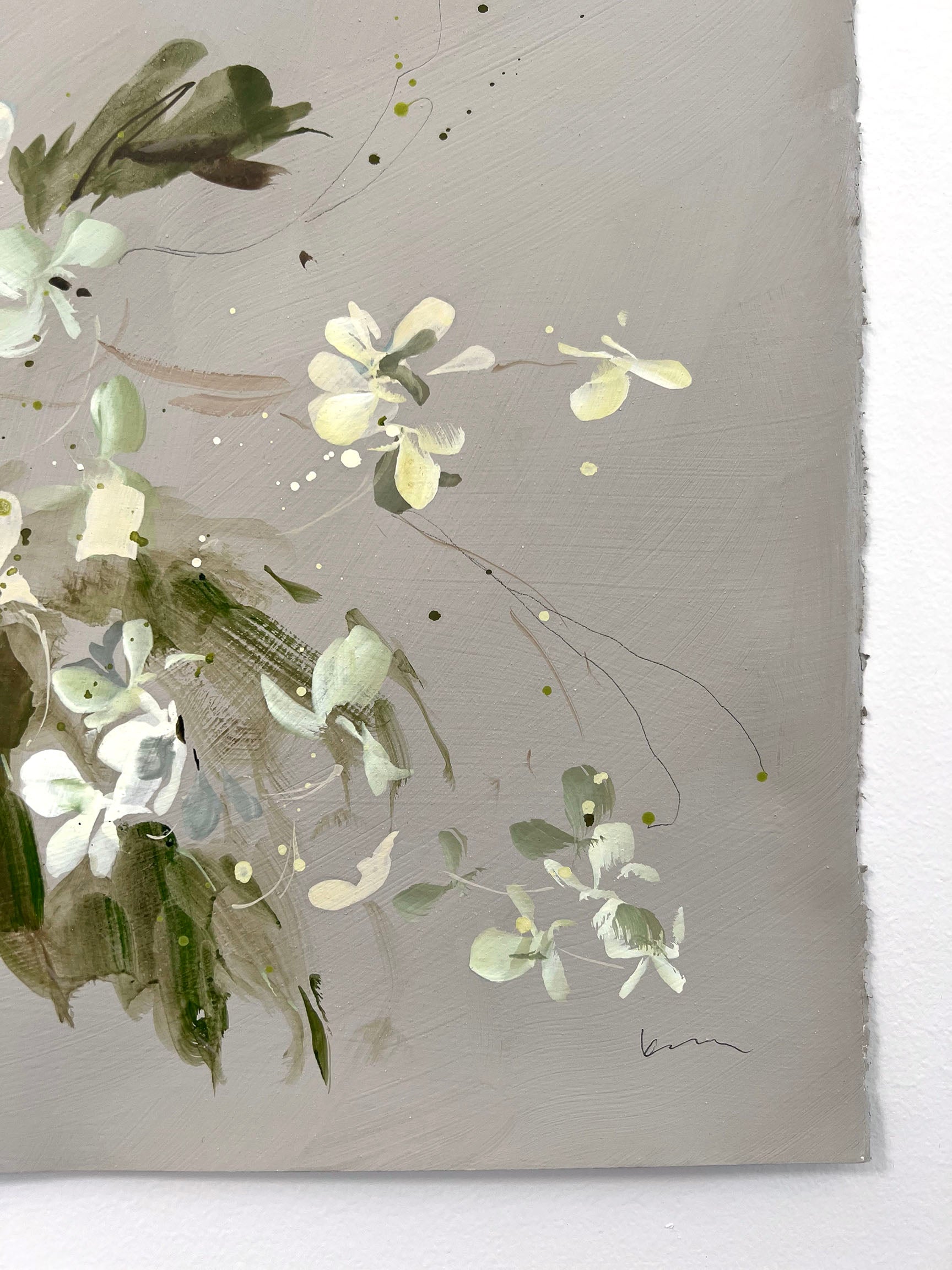 Oak Leaf Hydrangea No 1