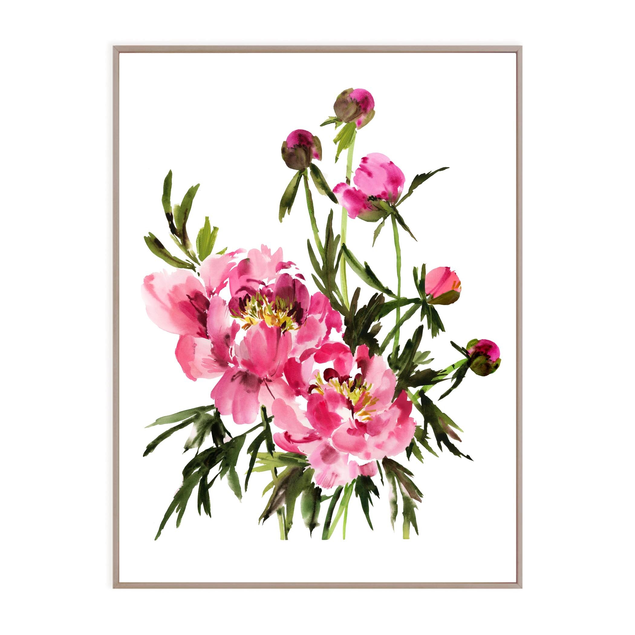 Pink Peonies