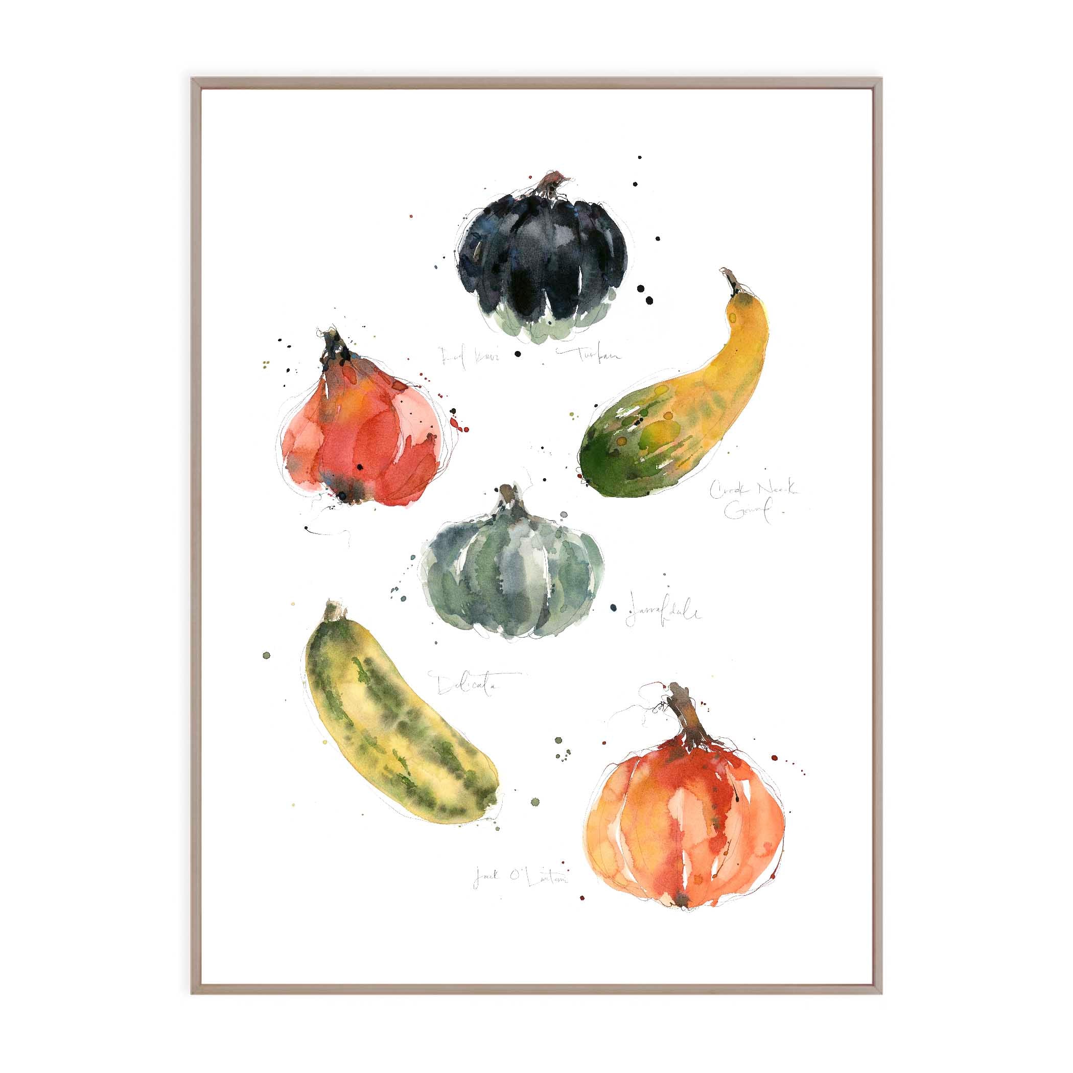 Squash Varieties
