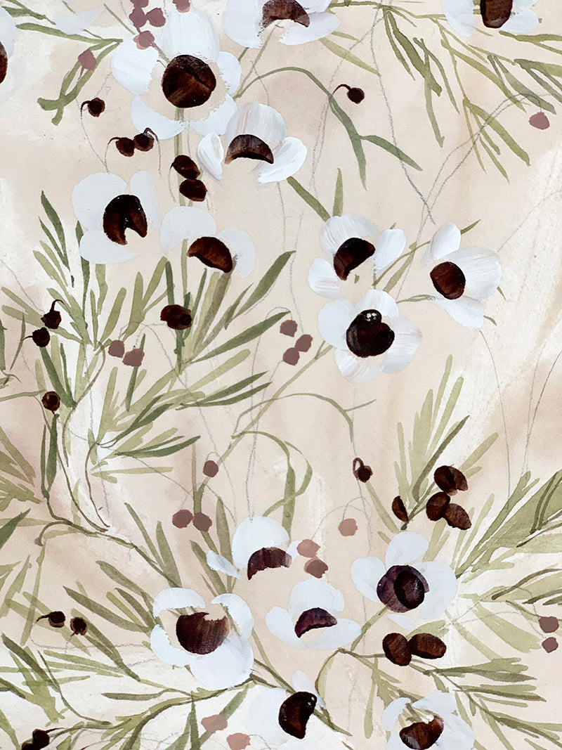 Waxflower Study