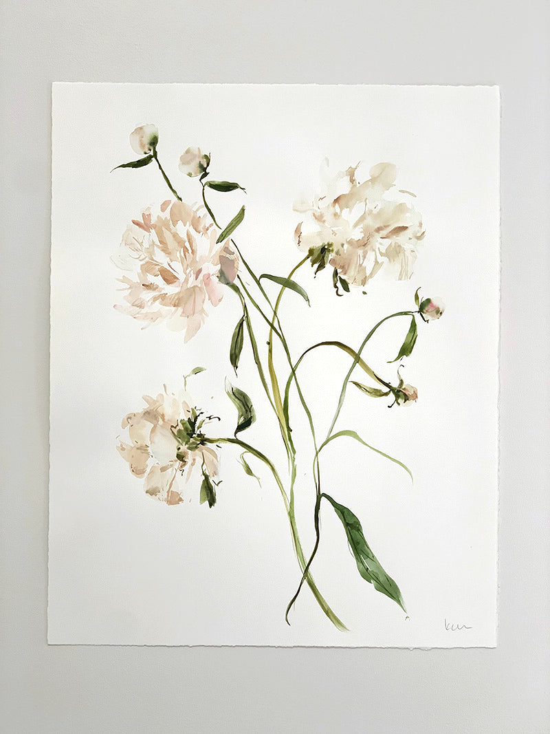 Wilting Peonies