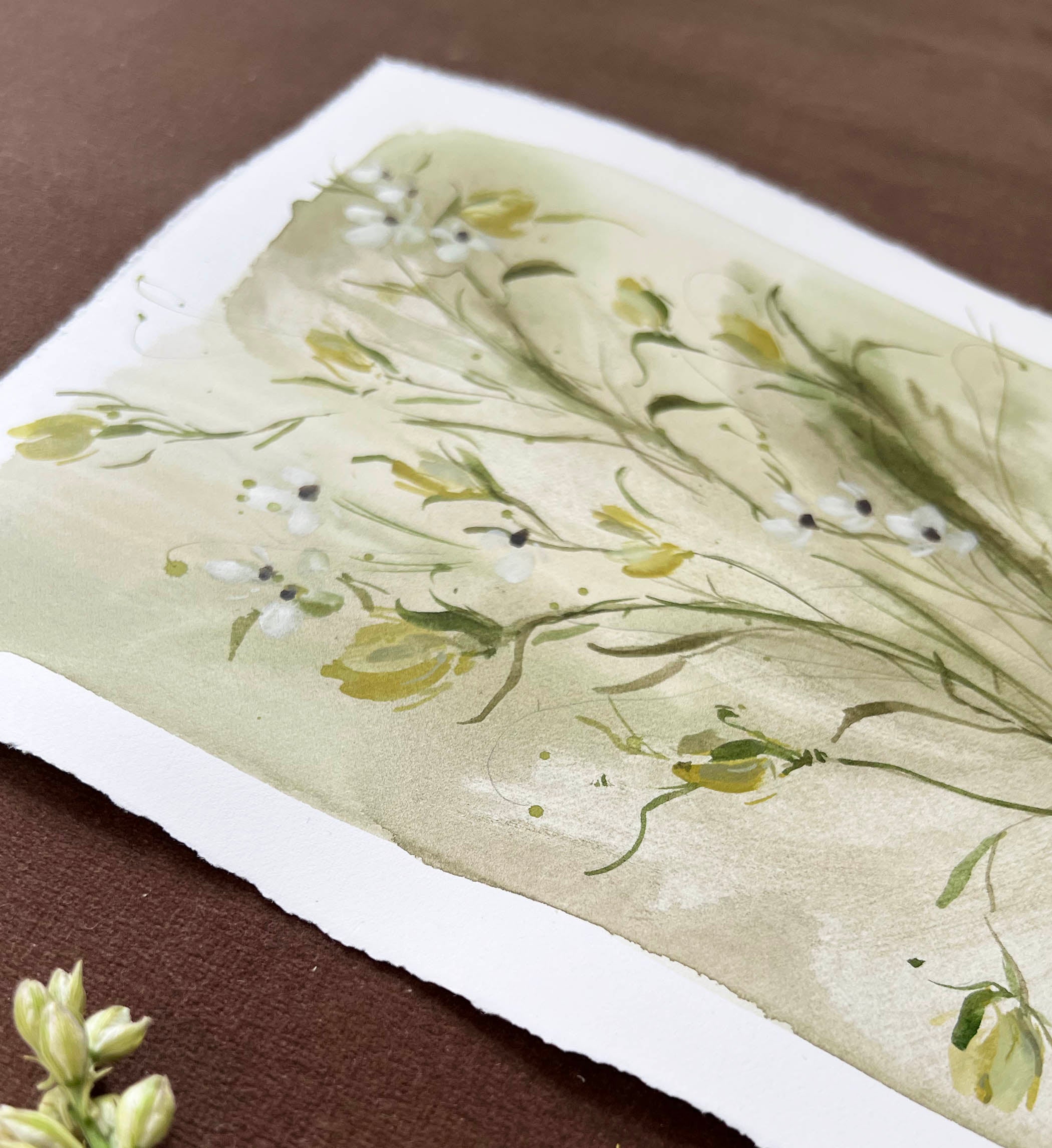 Yellow Toadflax No. 1