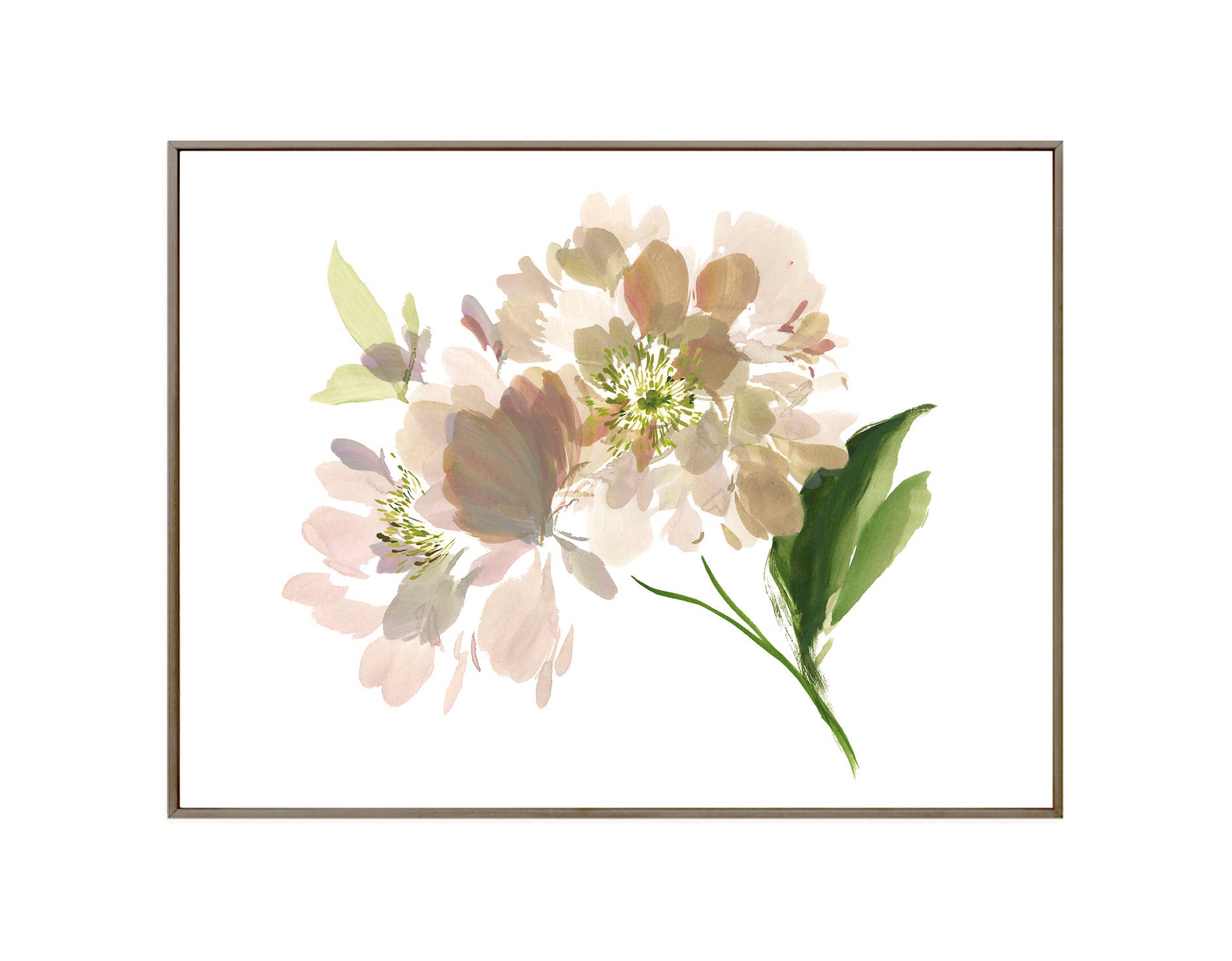 Apricot Whisper Peony