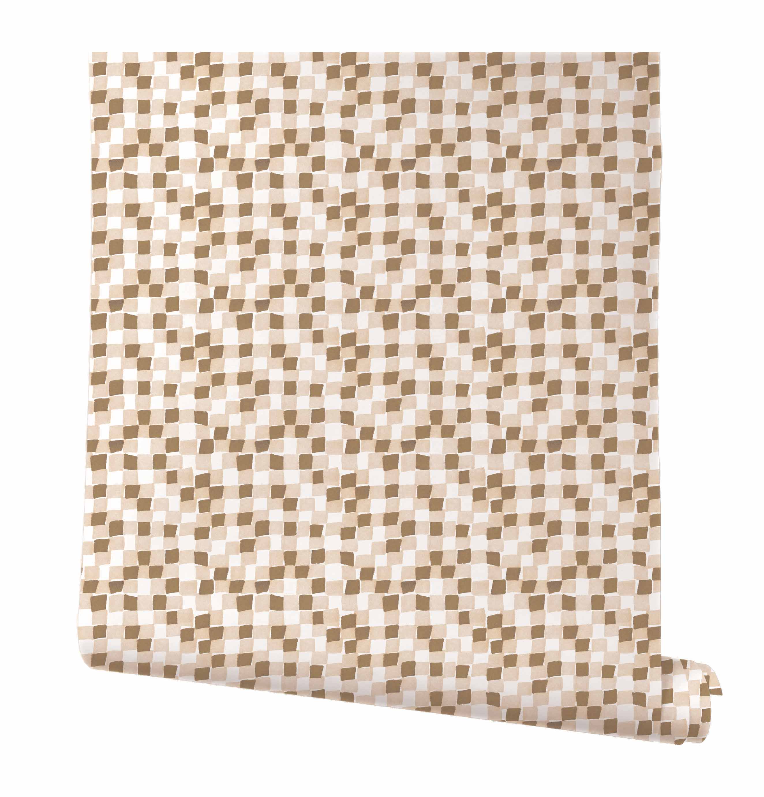 Checker In Shell Kelly Ventura Design Checker in shell kelly ventura design