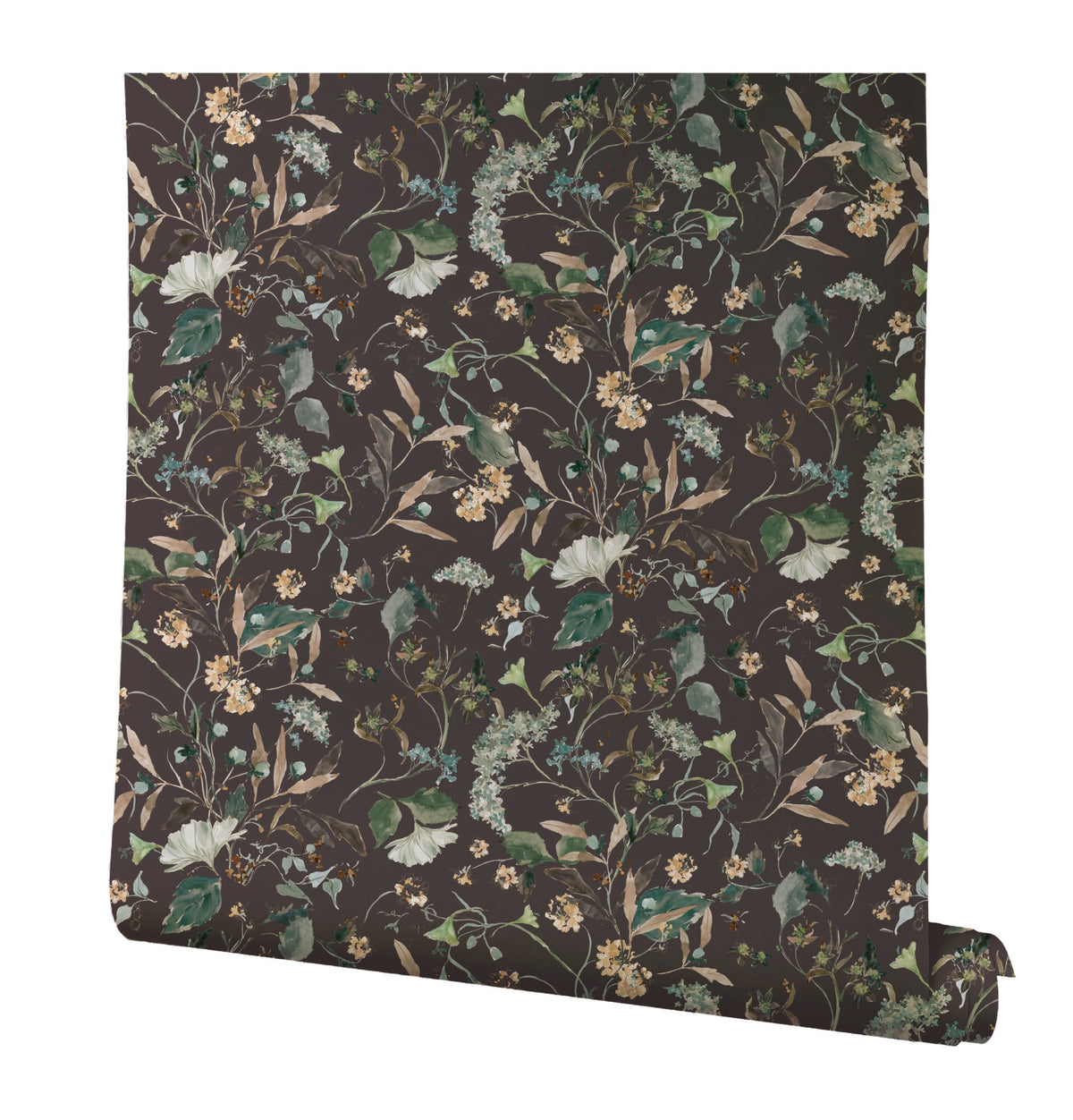 Herbarium in Plum Sample