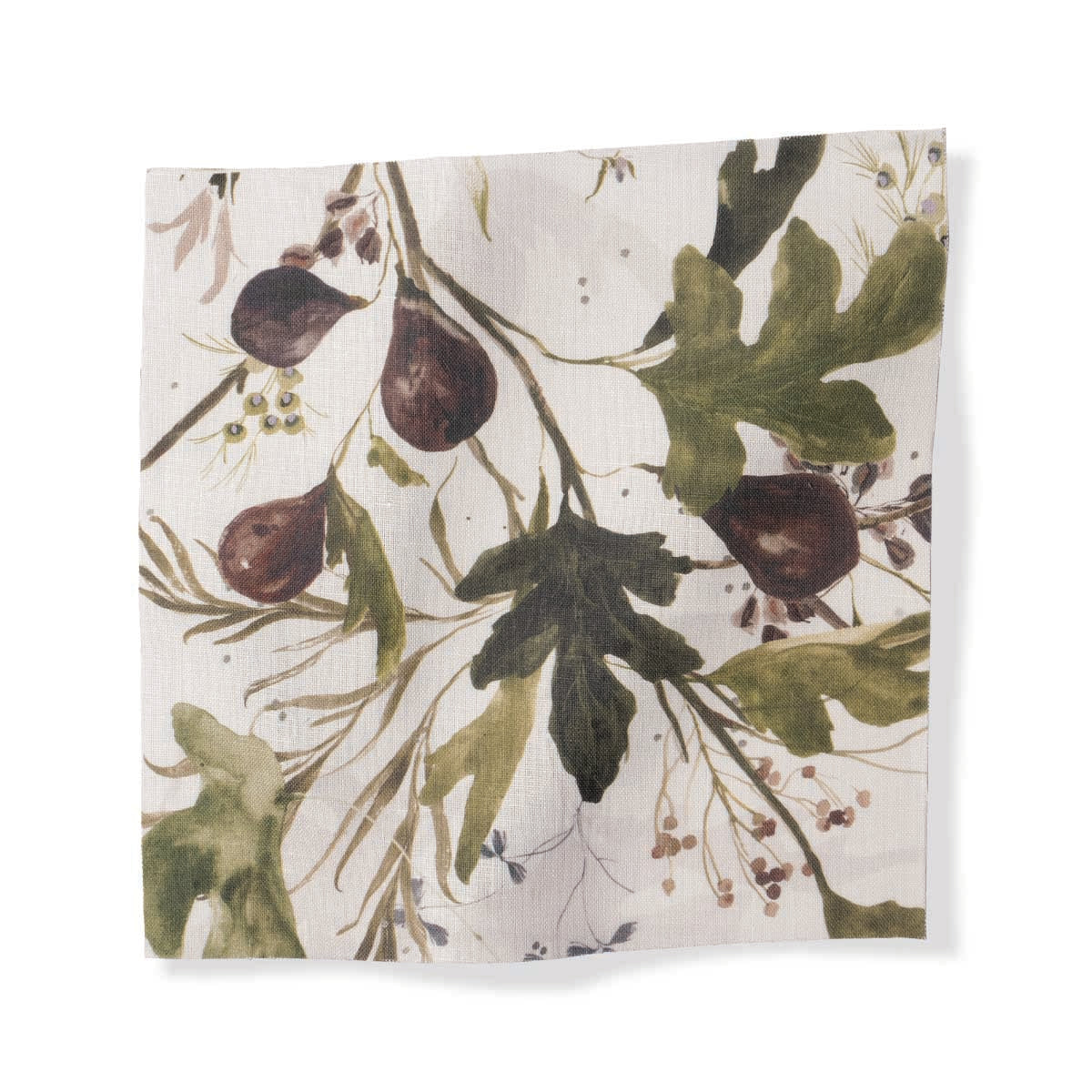 Fig in Linen Fabric