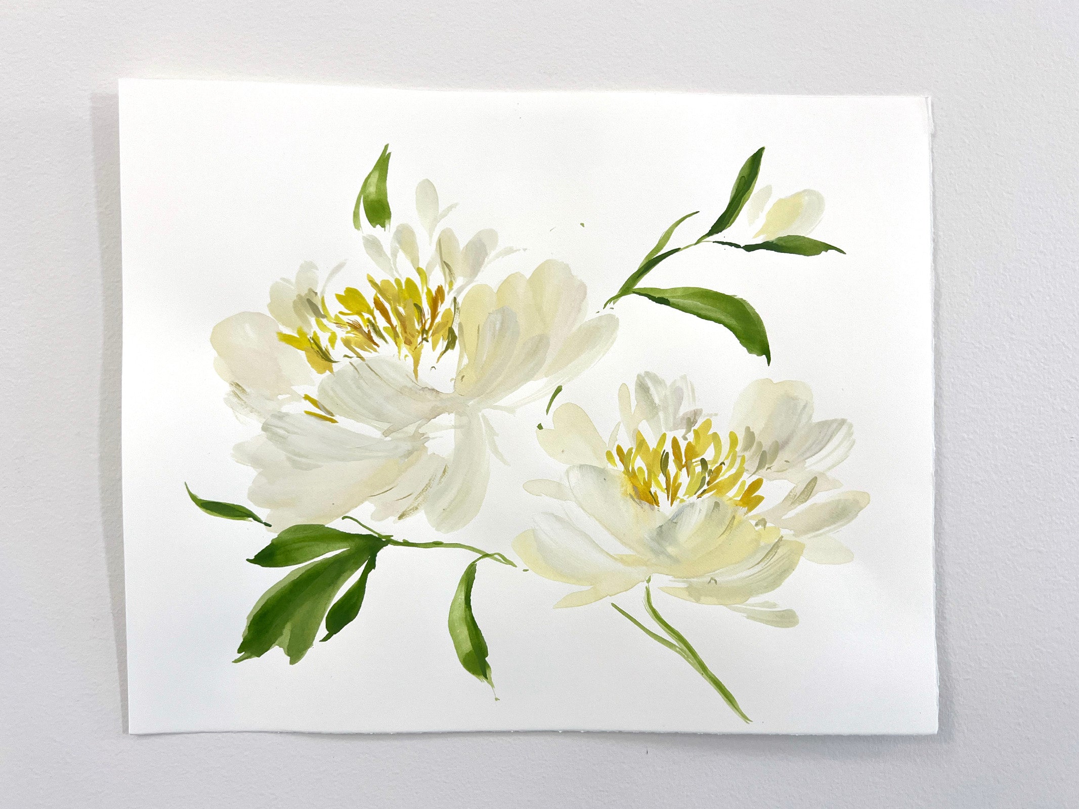 Krinkled White Peony