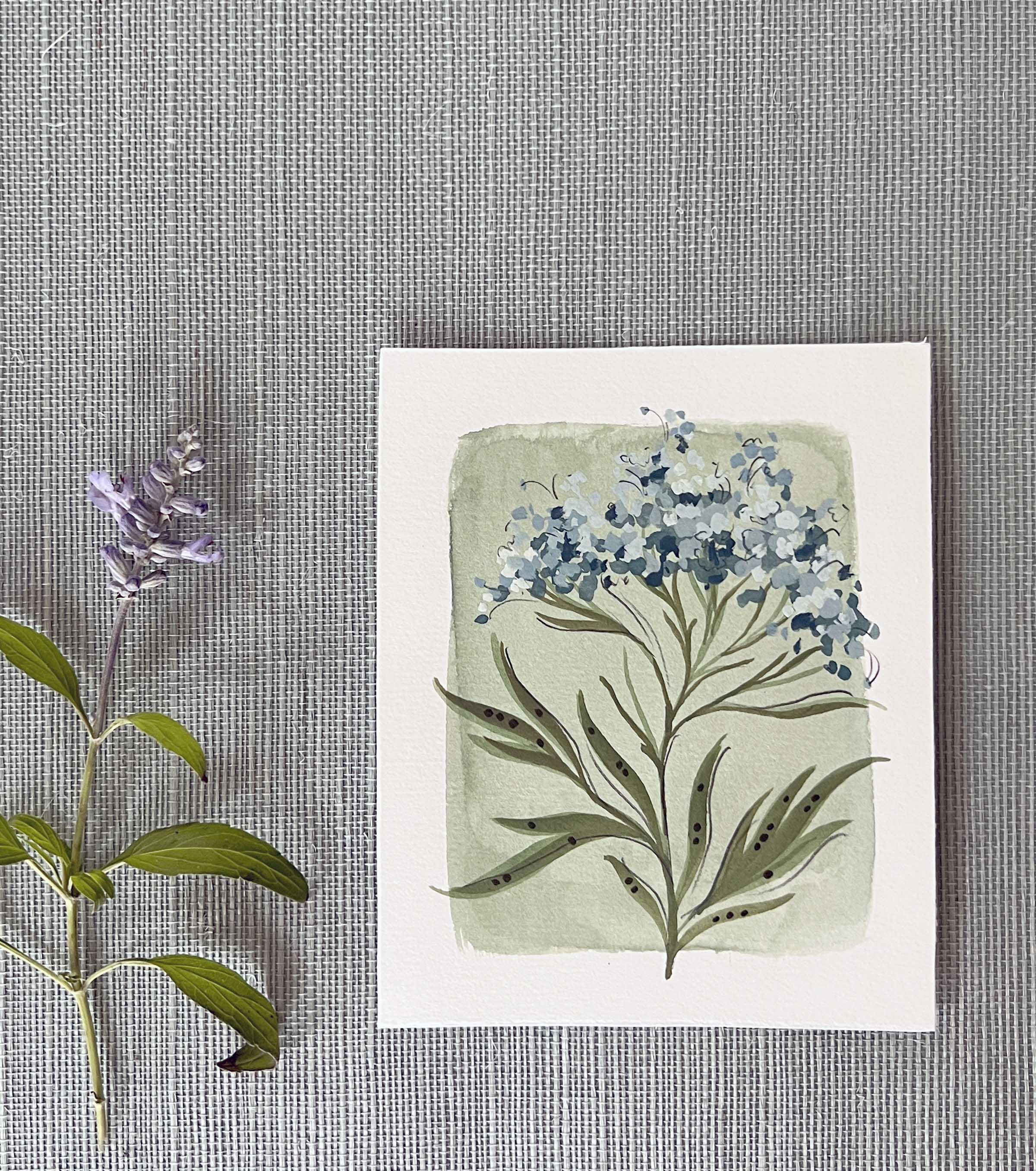 Tiny Botanicals No.103