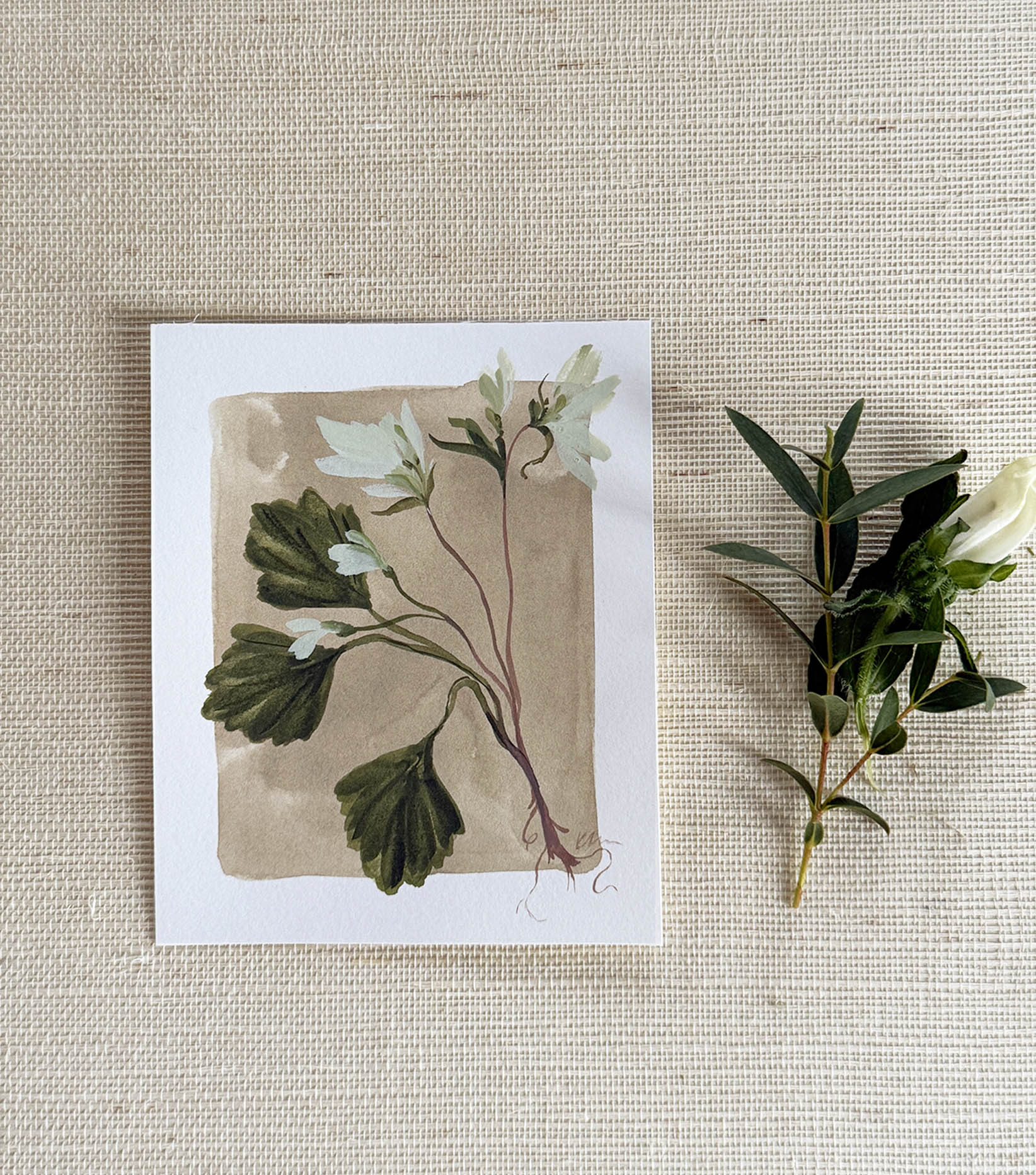 Tiny Botanicals No.104