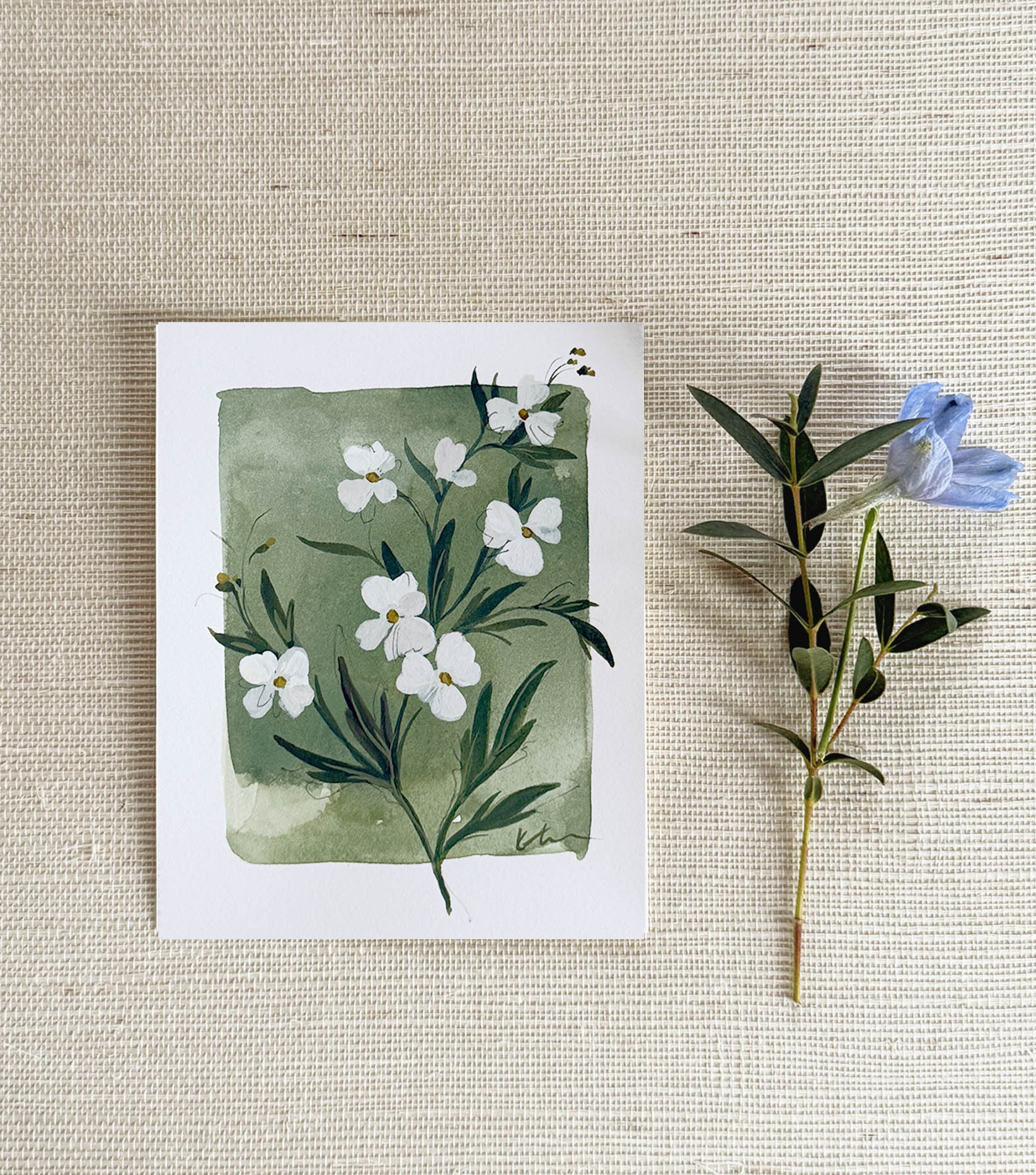 Tiny Botanicals No.113