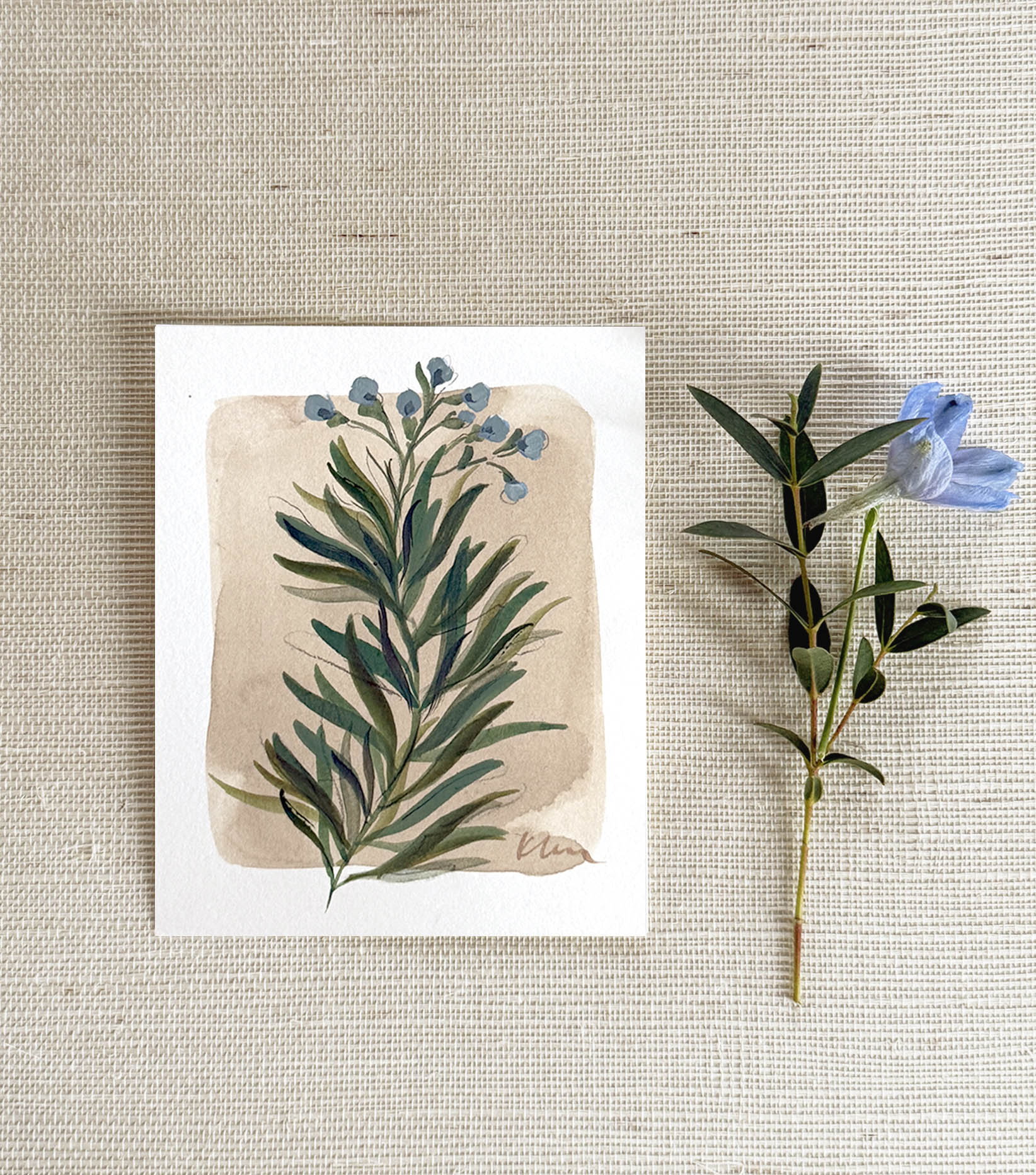 Tiny Botanicals No.141
