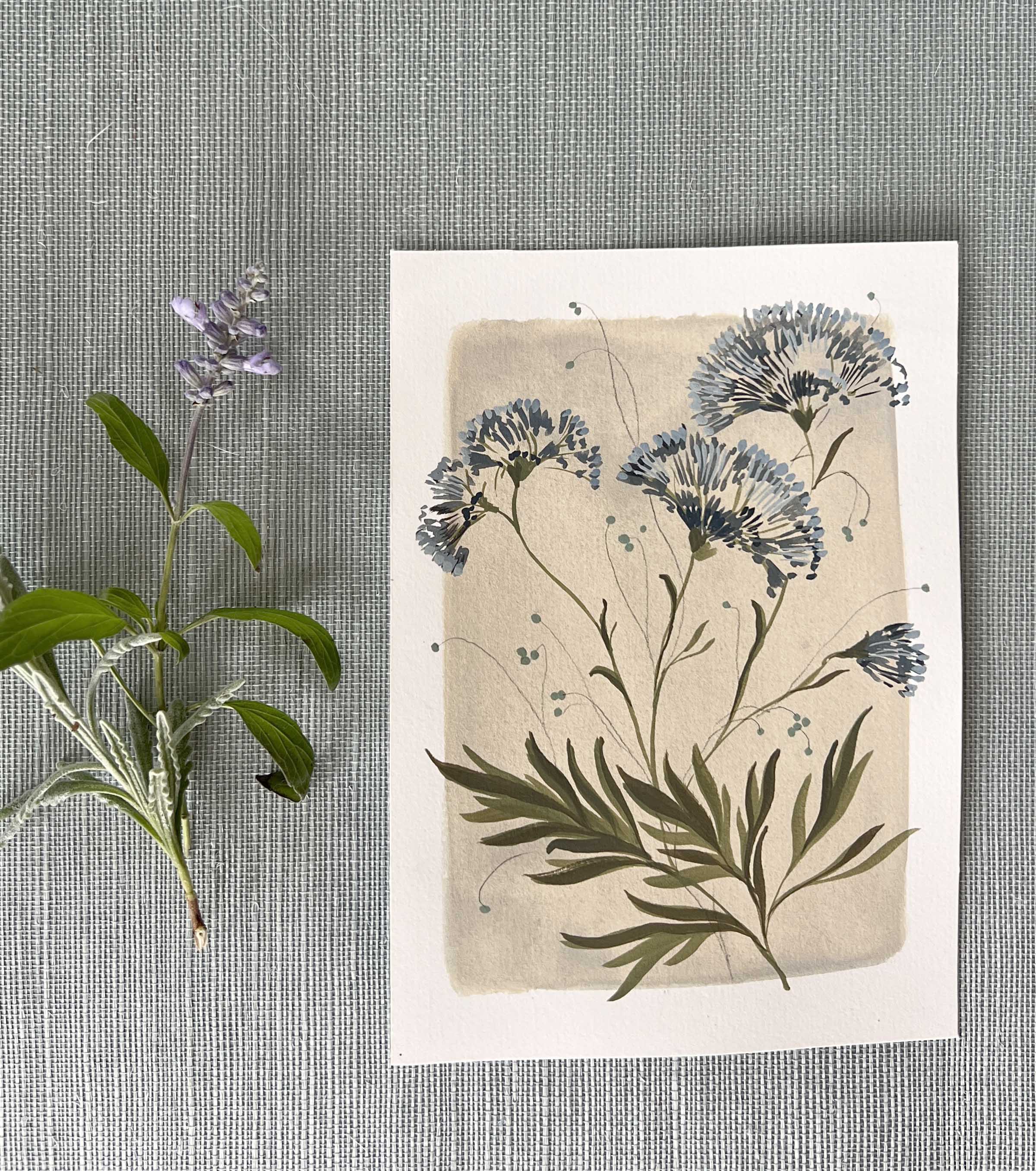 Tiny Botanicals No.51