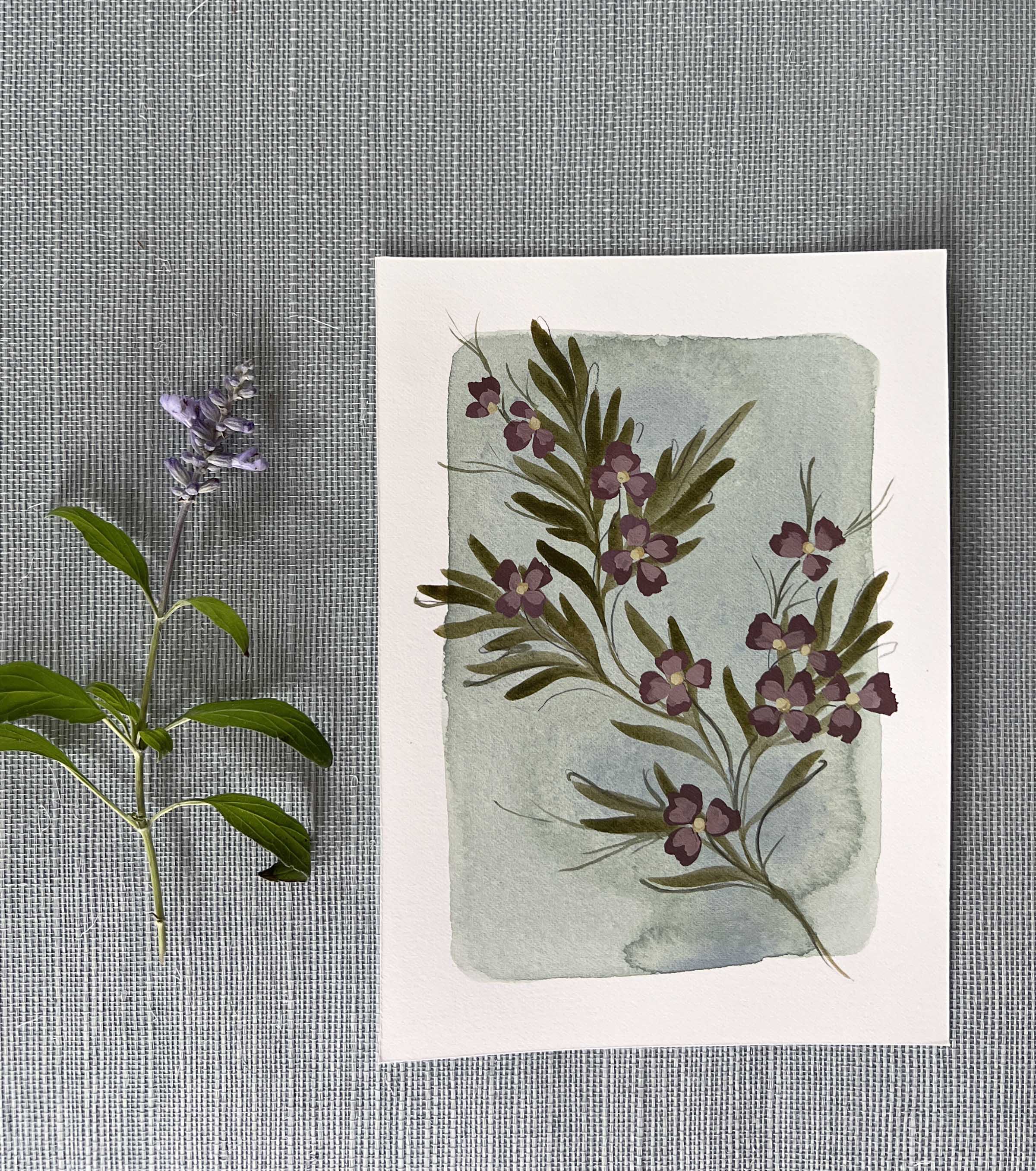 Tiny Botanicals No.53