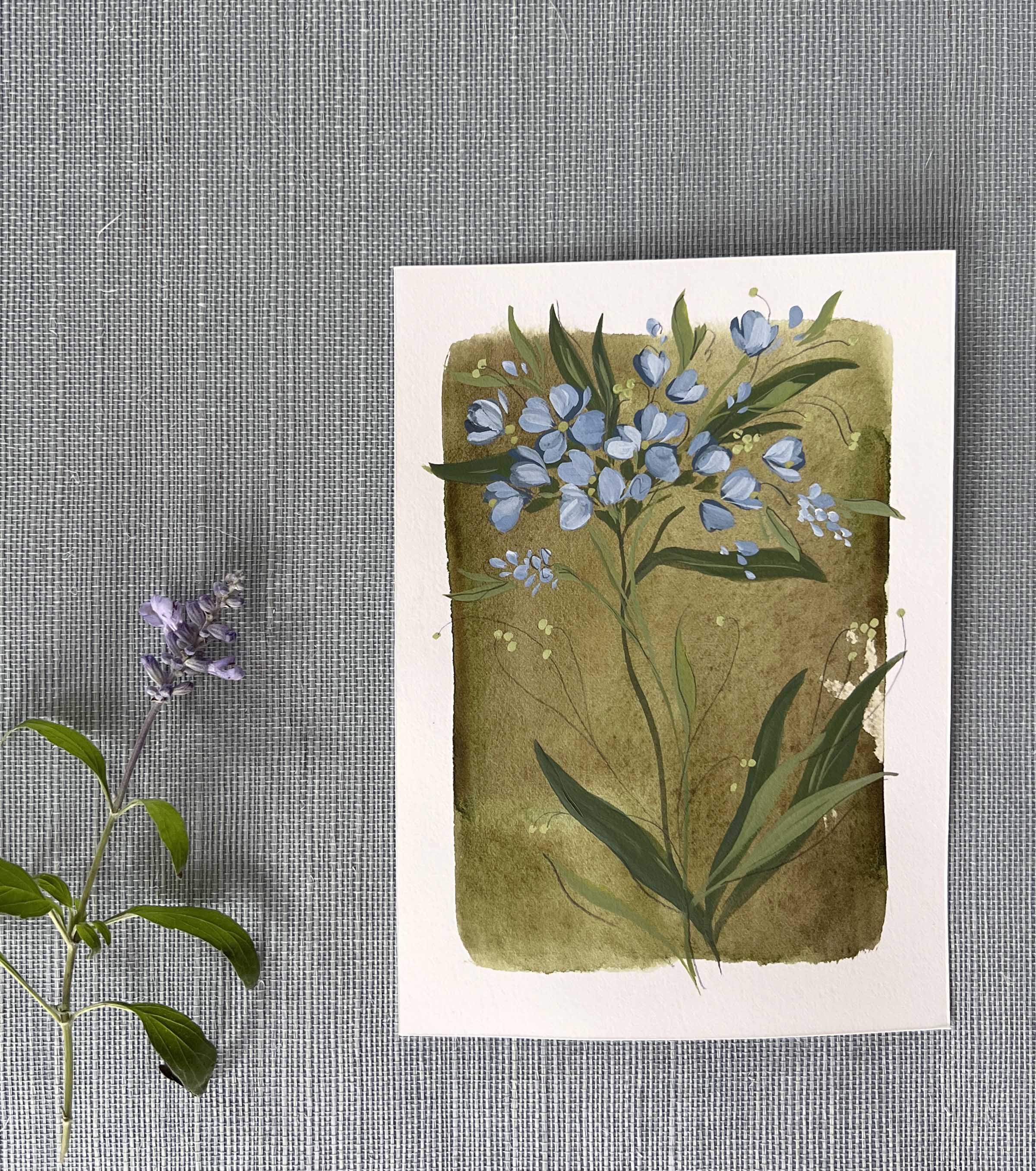 Tiny Botanicals No.54