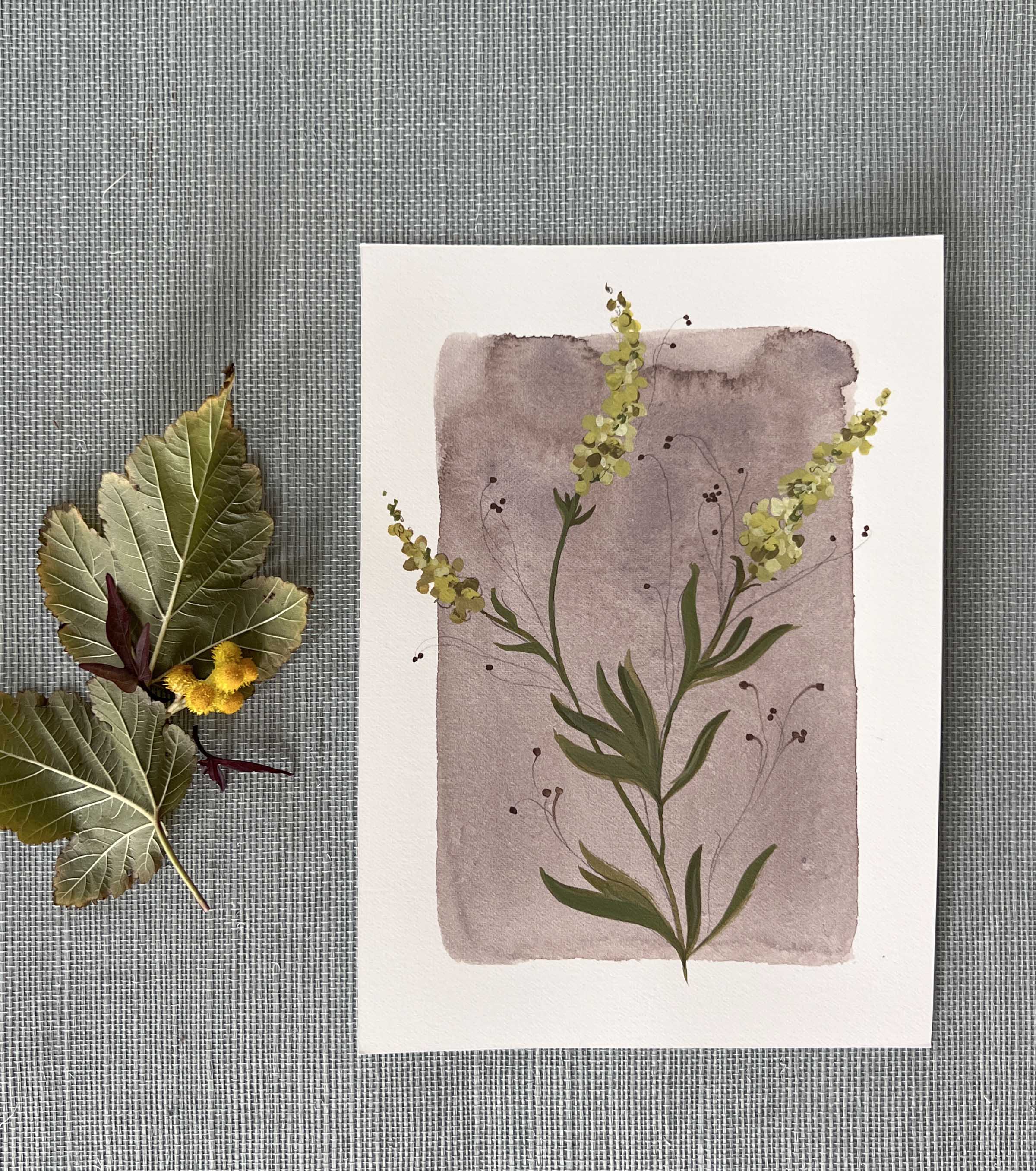 Tiny Botanicals No.79