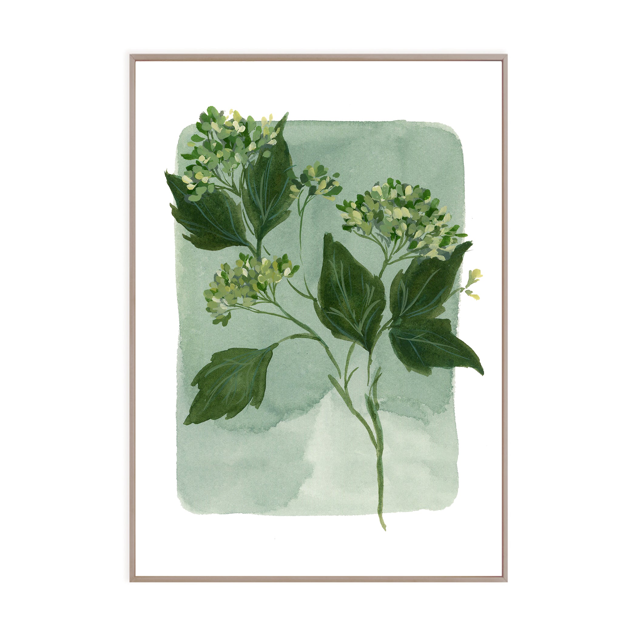 Tiny Botanicals No. 94