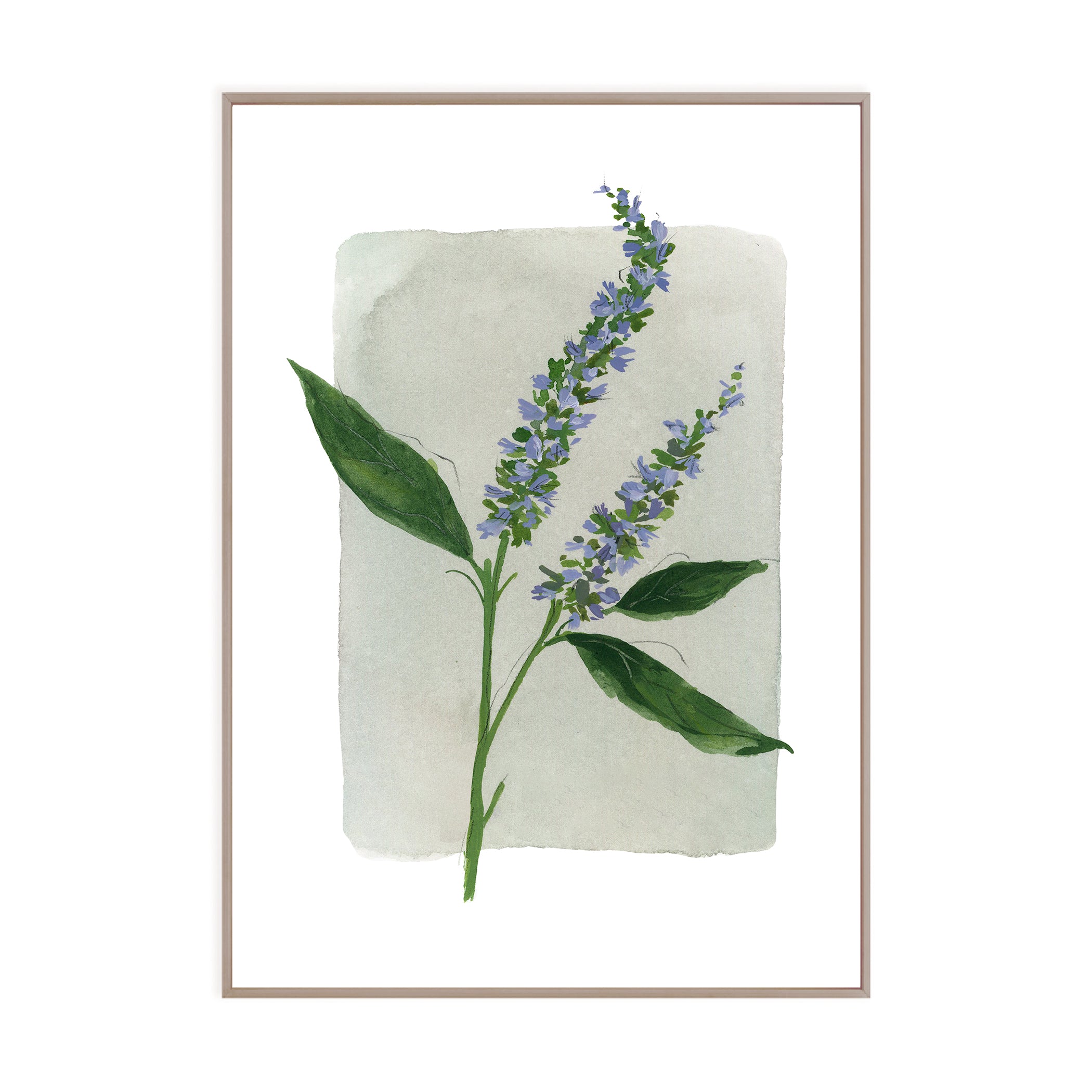 Tiny Botanicals No. 96