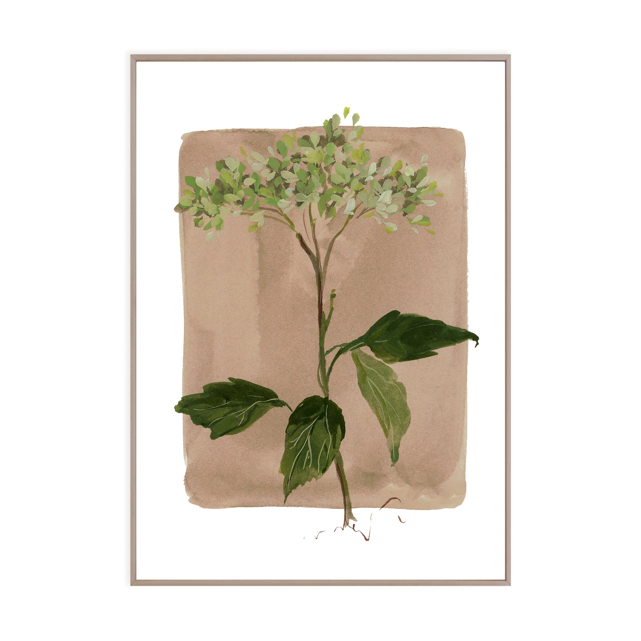 Tiny Botanicals No. 101