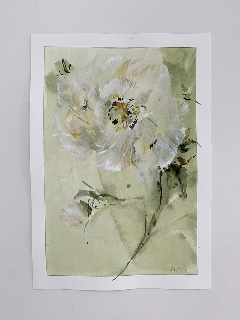 Fading Peony in Sage