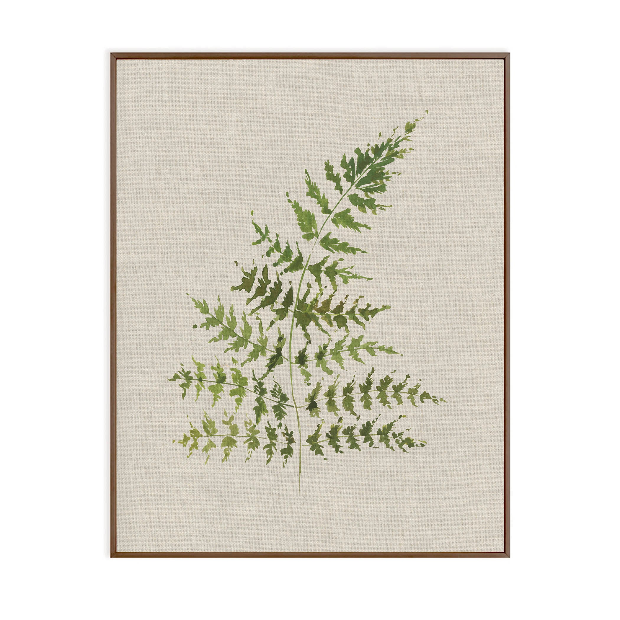 Fern Study (set of three)