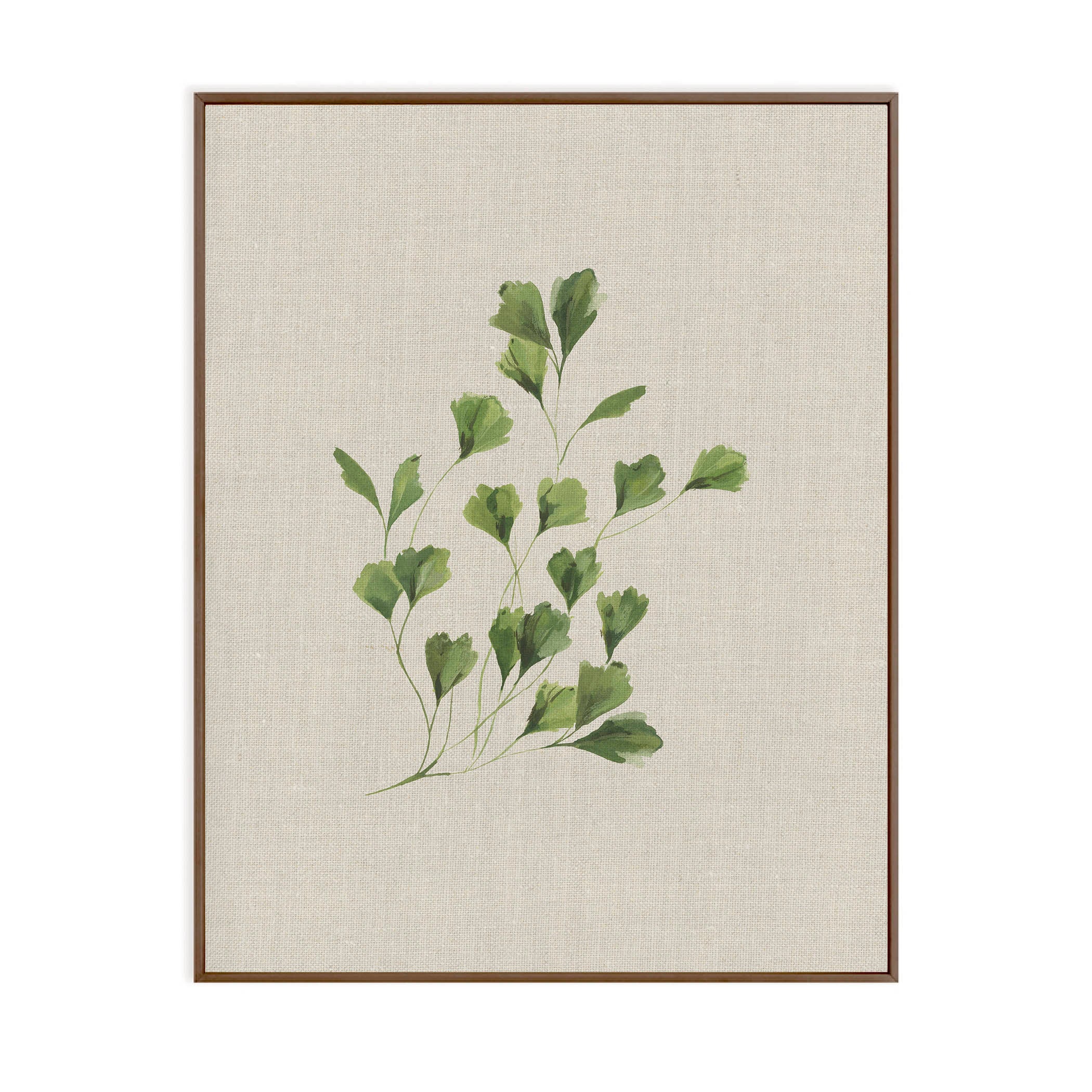 Fern Study (set of three)