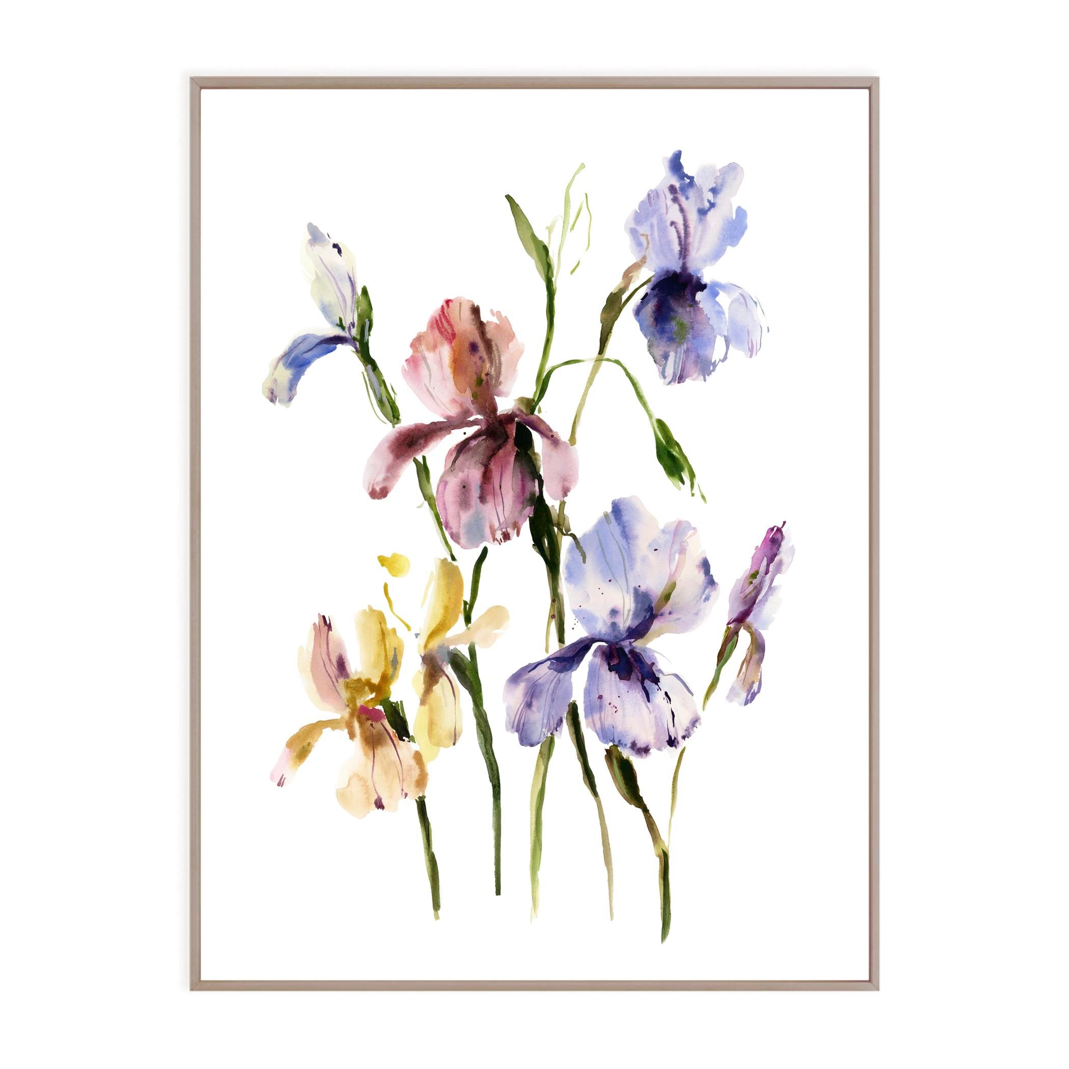 Irises