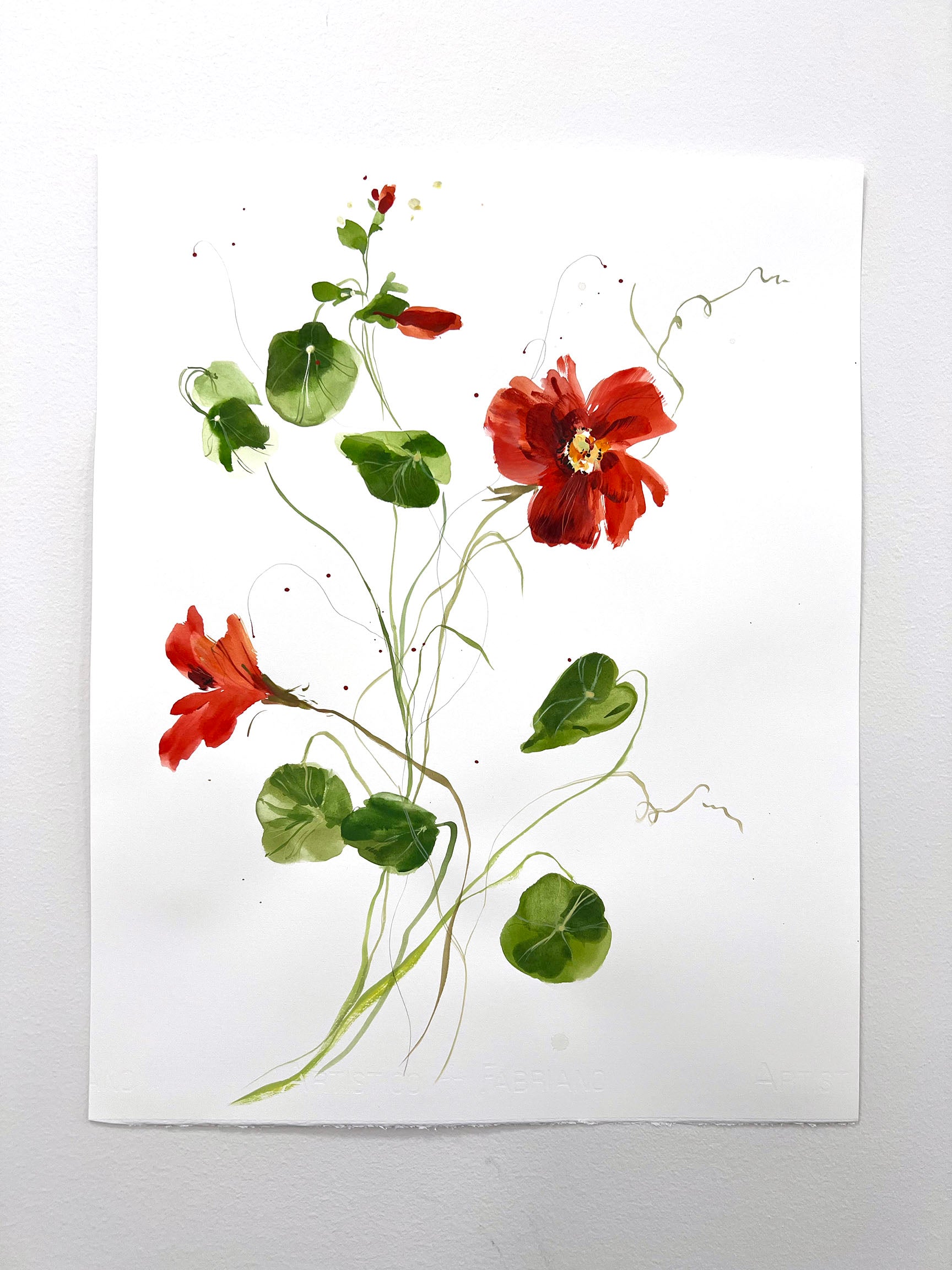 Nasturtium