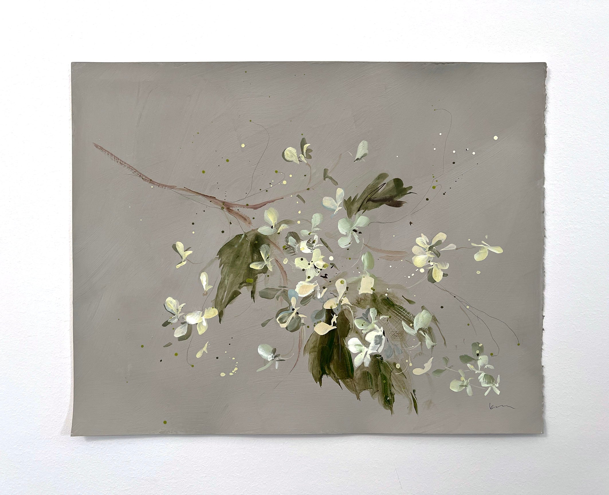 Oak Leaf Hydrangea No 1