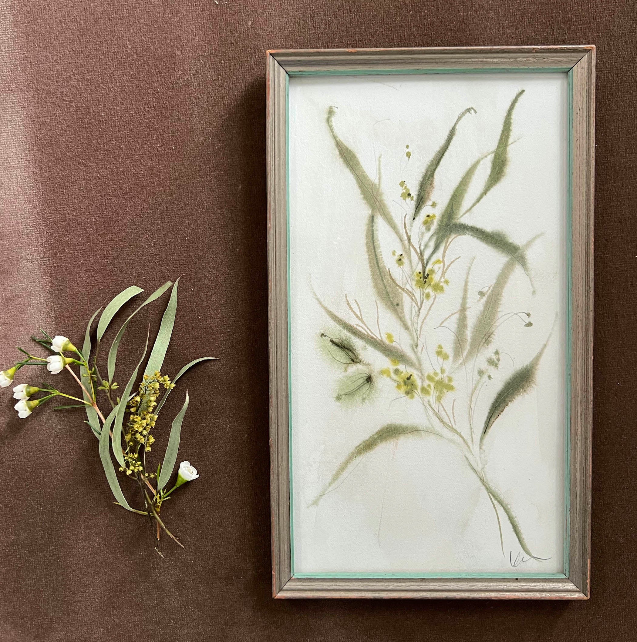 Seeded Eucalyptus No. 1