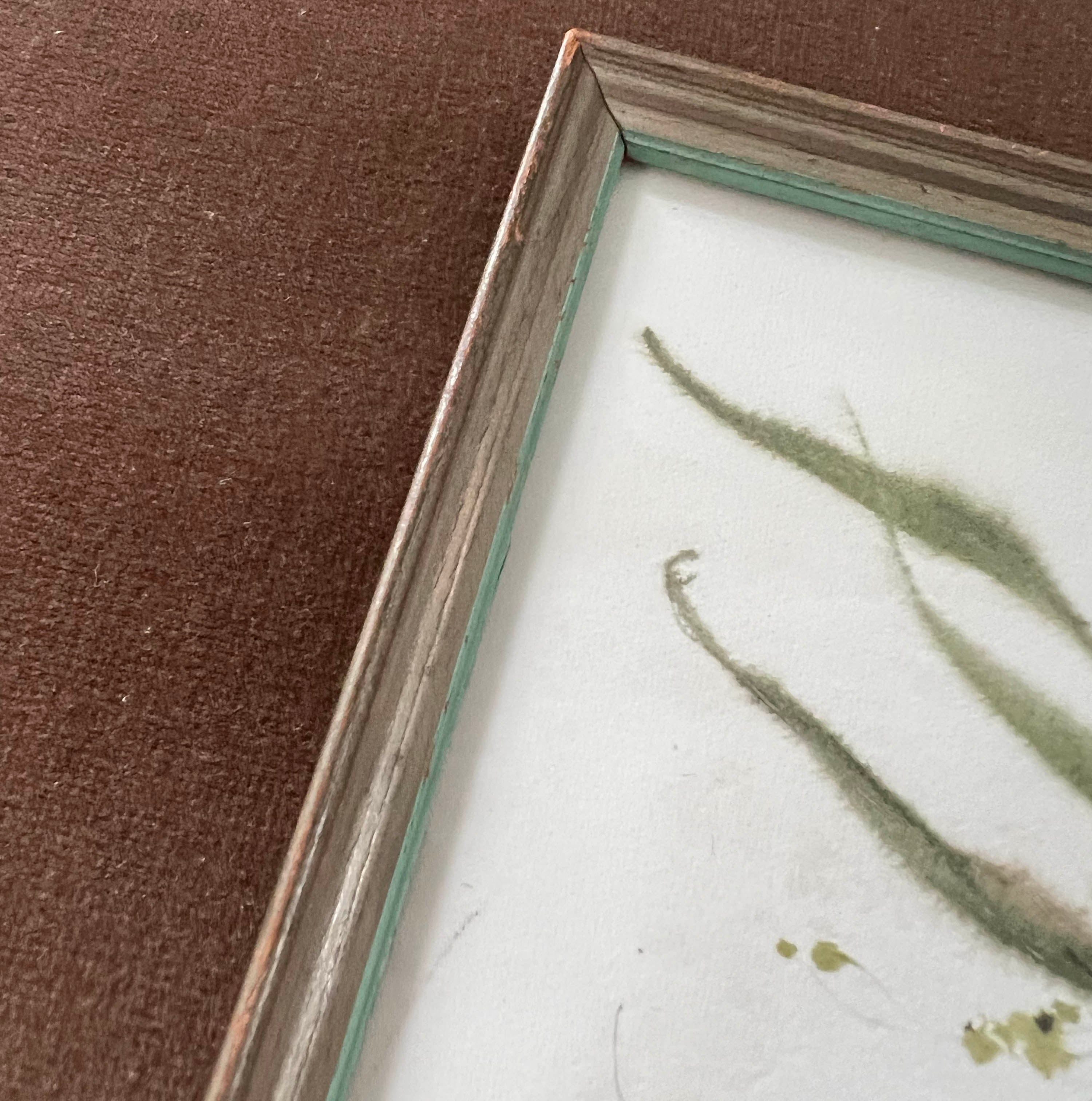 Seeded Eucalyptus No. 1