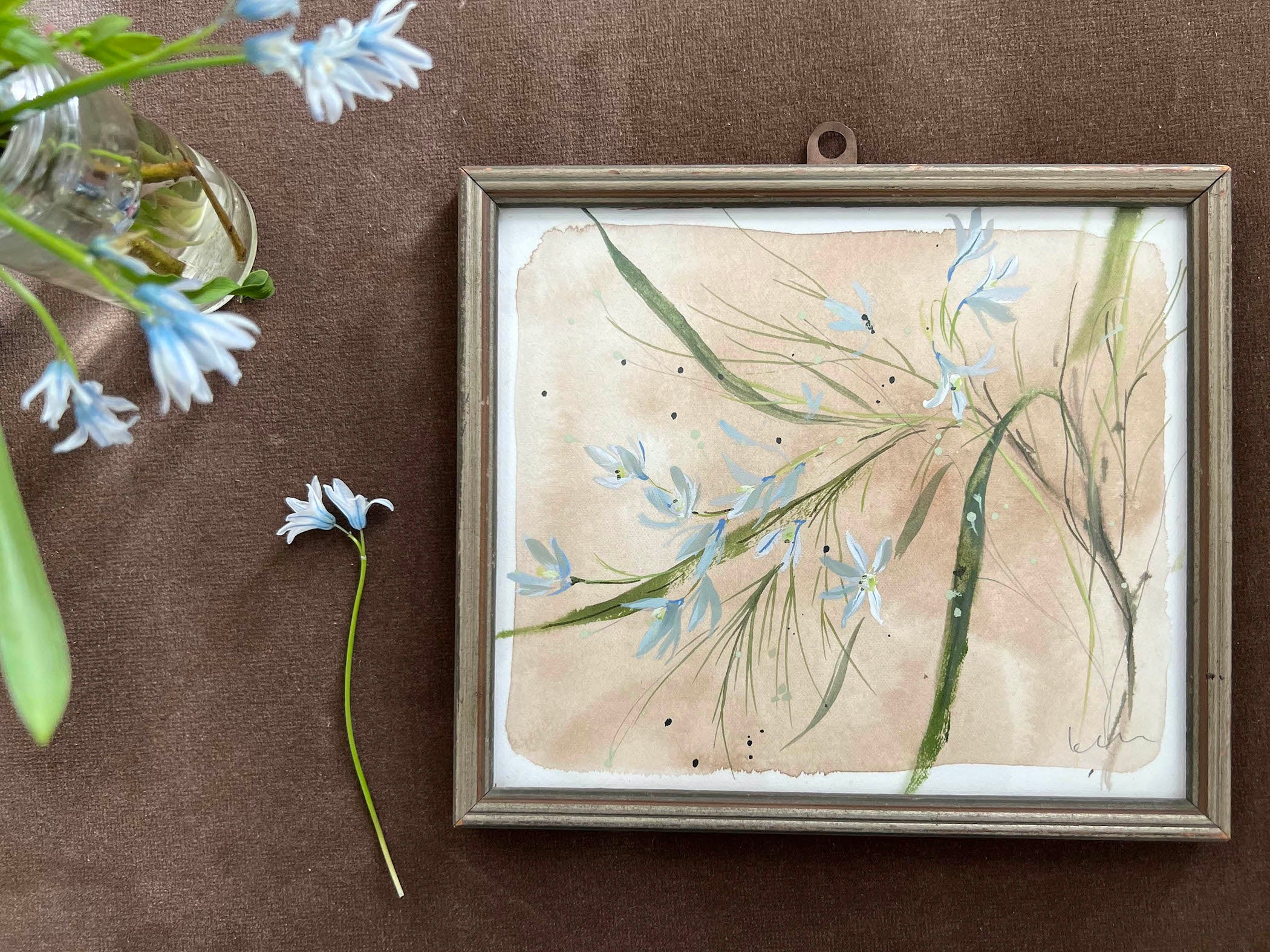 Striped Squill No. 1