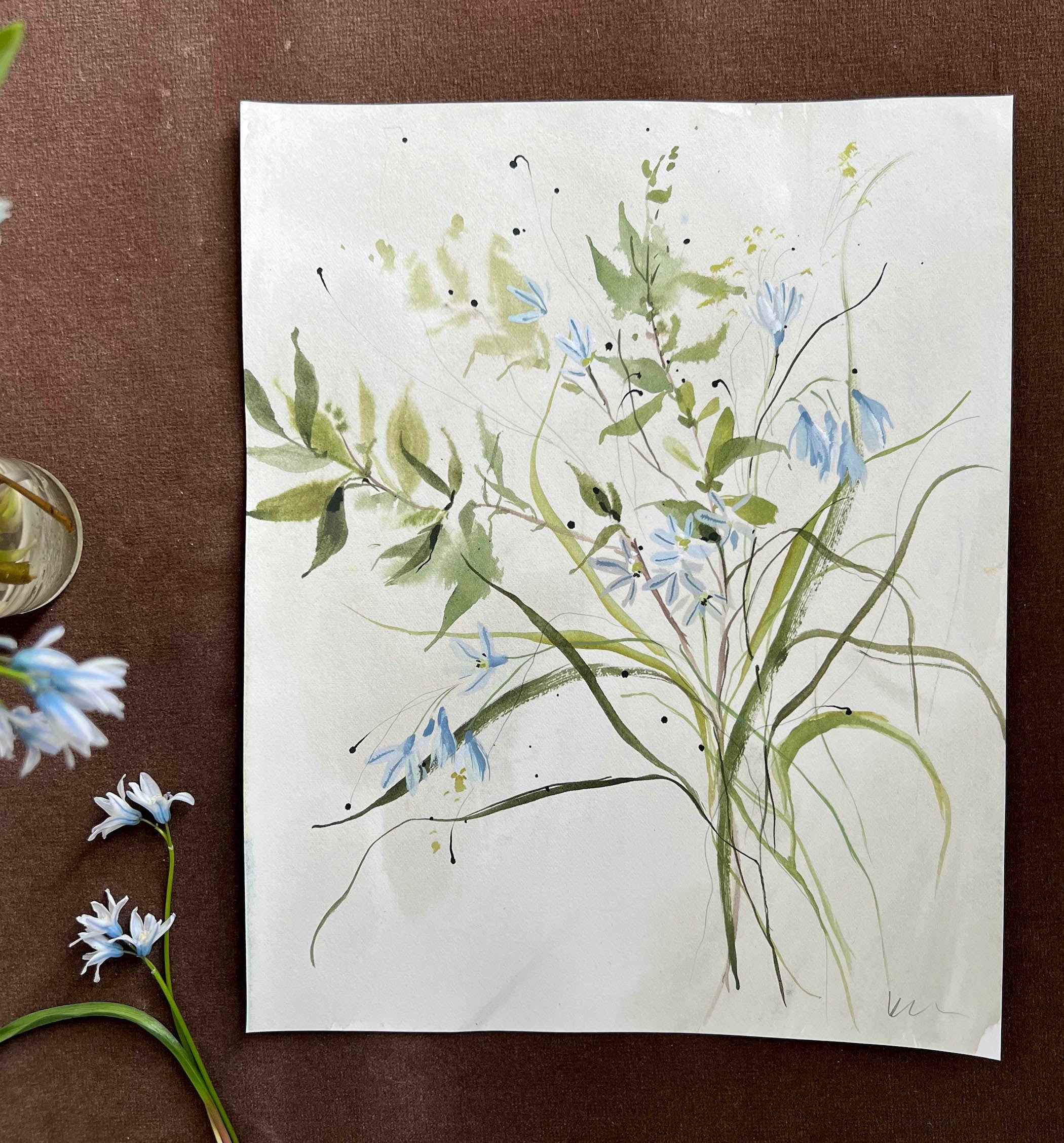 Striped Squill No. 2