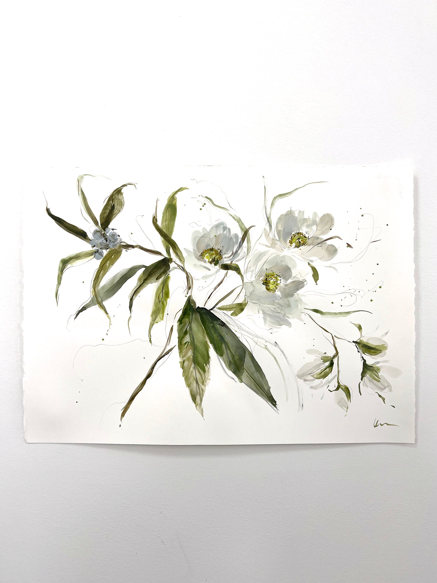 Tree Peonies & Berries