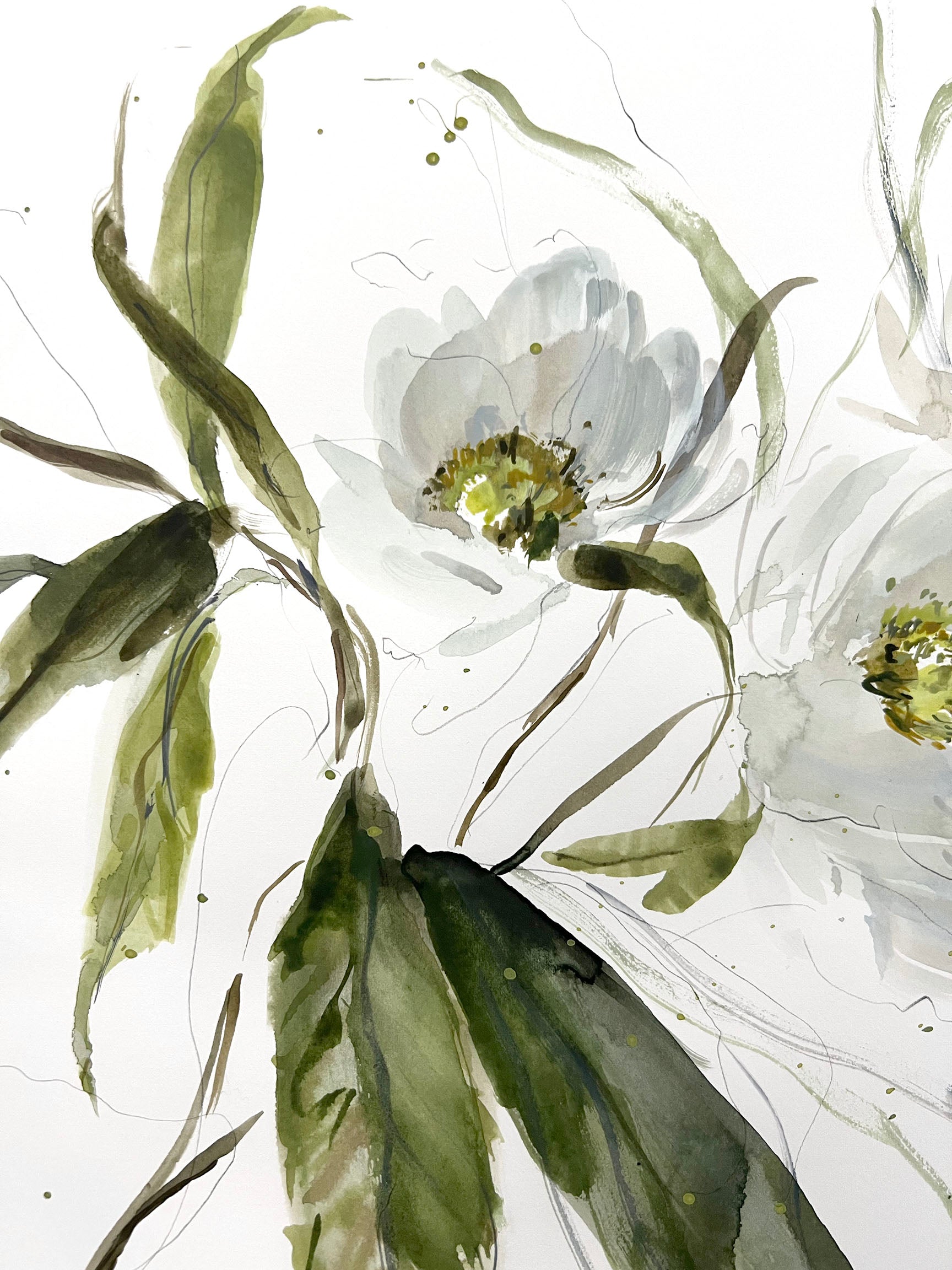 Tree Peonies & Berries