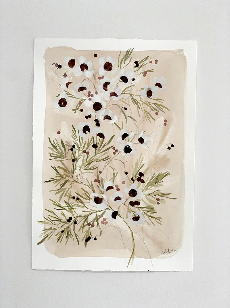 Waxflower Study