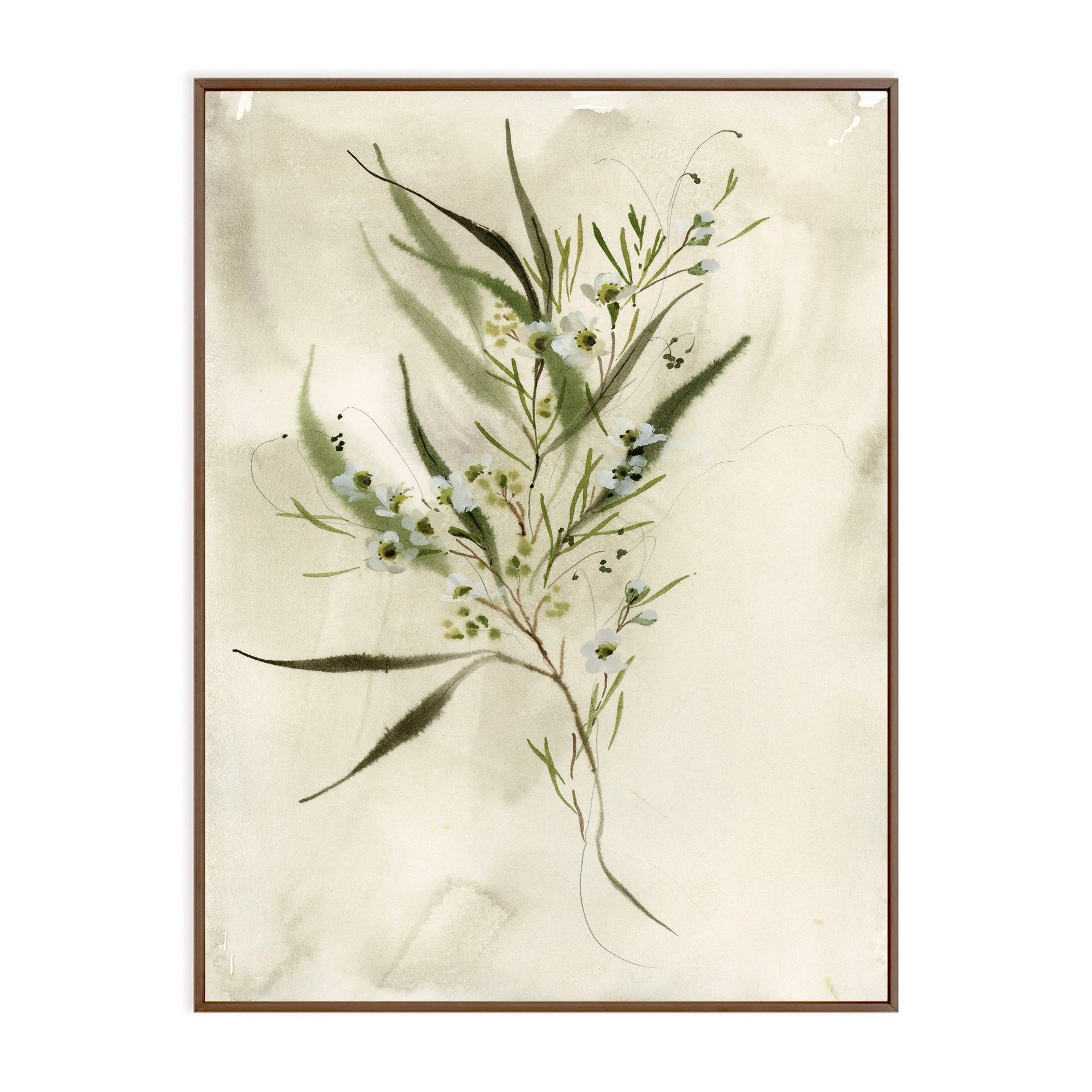 Waxflower in Linen